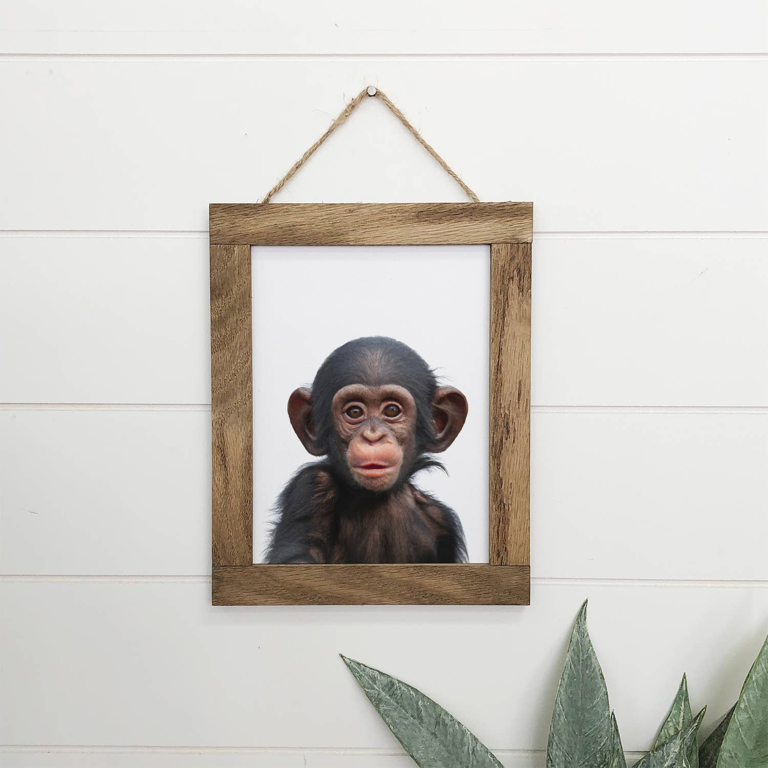 Cute Baby Chimpanzee Wood Sign Animal Wall Art