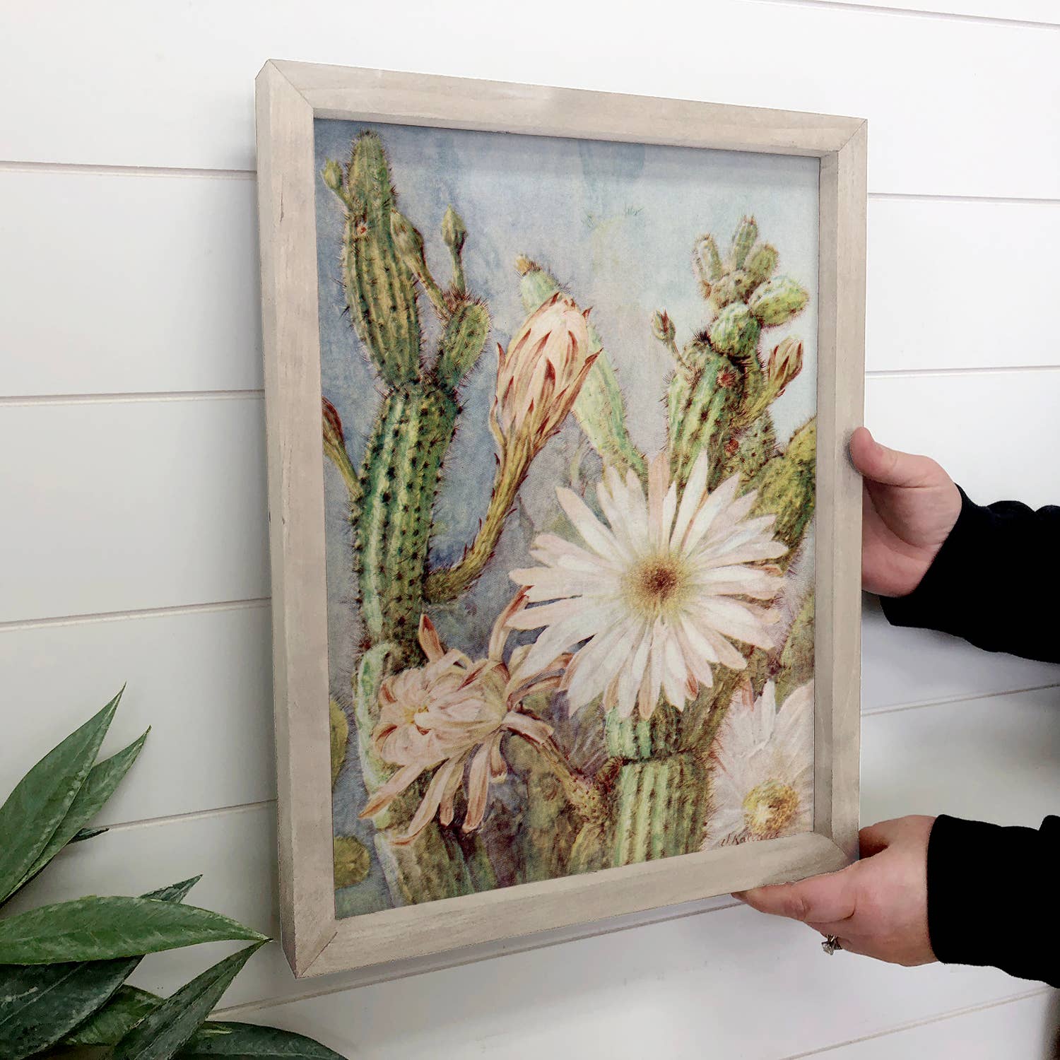 Vintage Cactus Painting - Cactus Canvas Art - Wood Framed