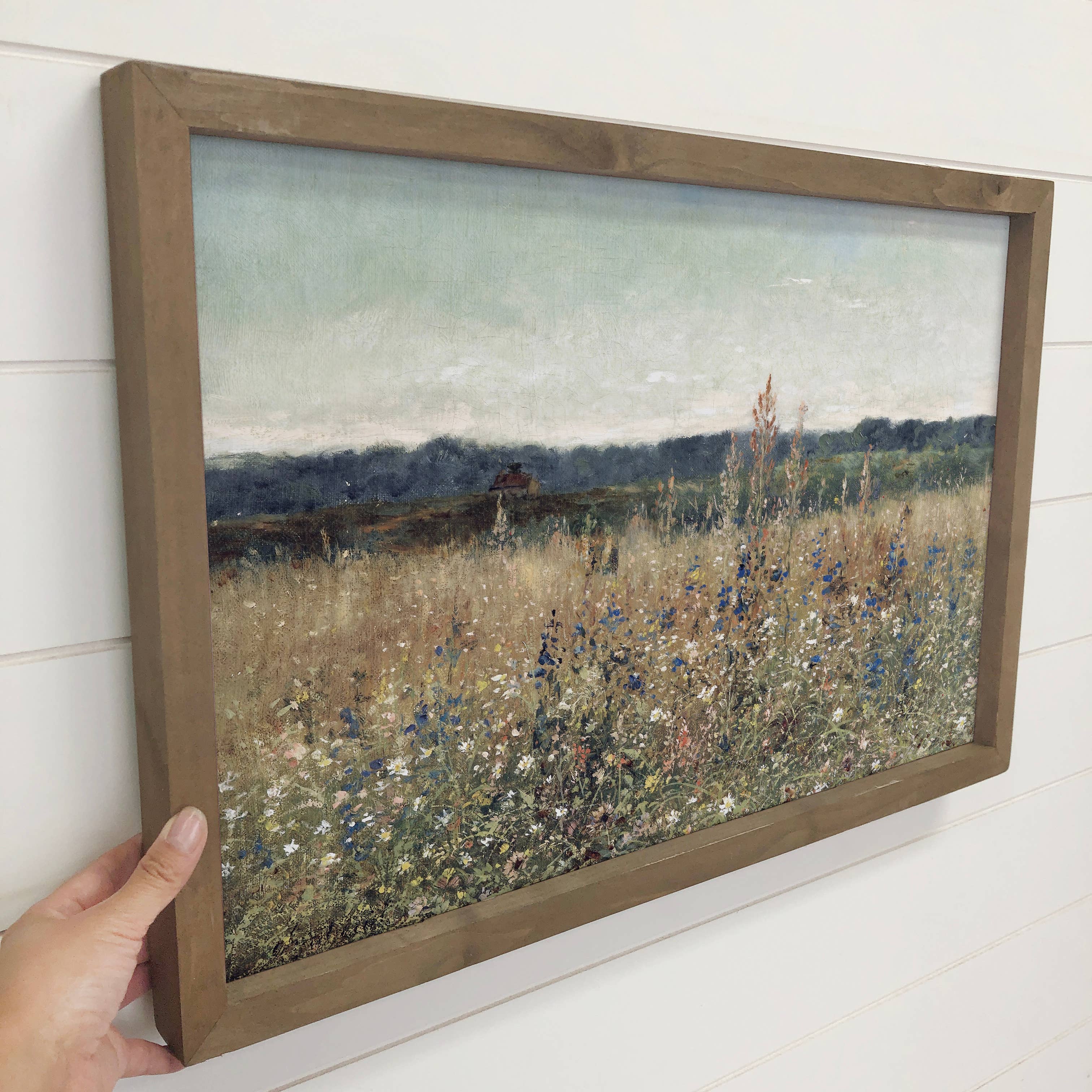 Vintage Wildflower - Nature Canvas Artwork - Wood Framed Art