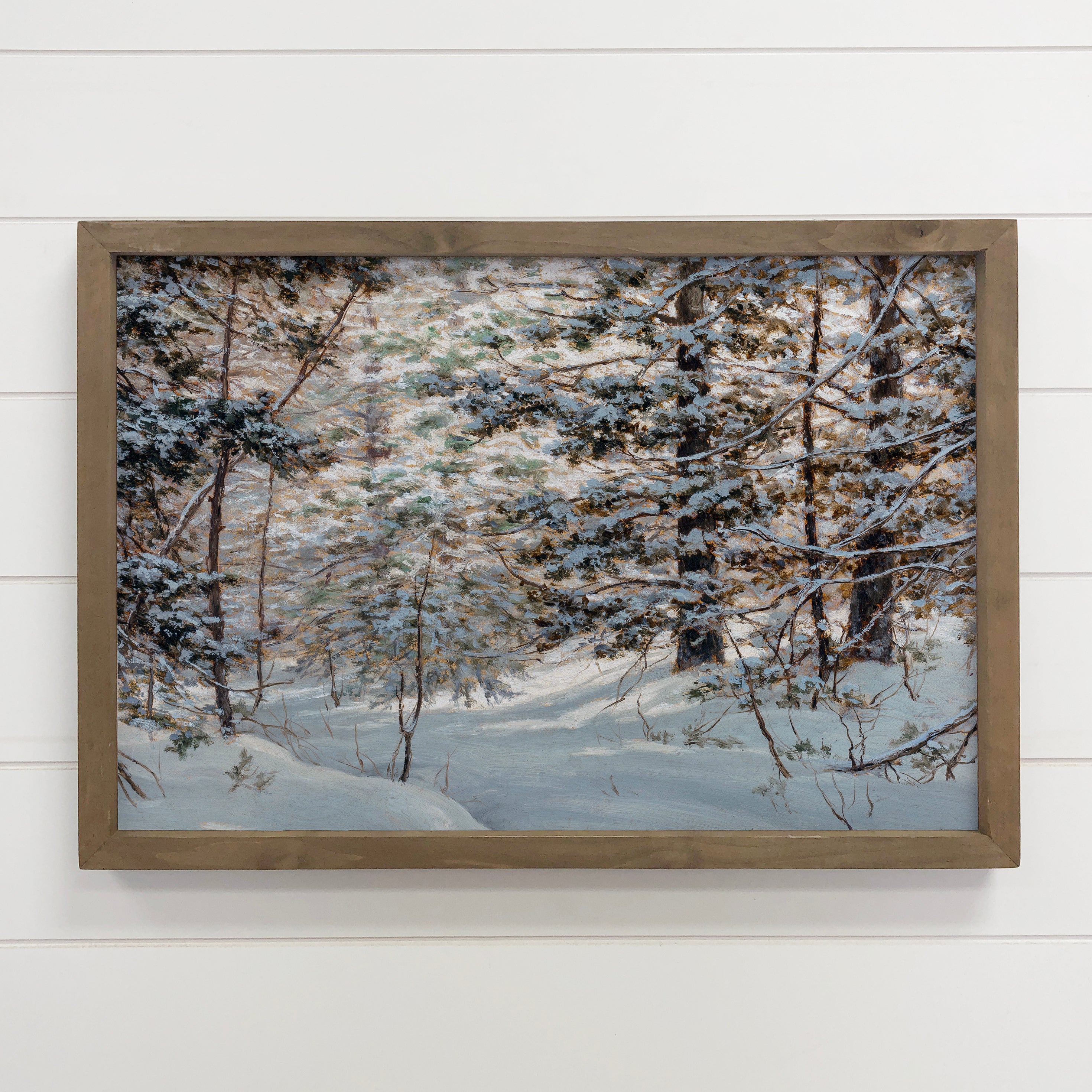 Adirondack Pines - Pine Tree Canvas Art - Framed Nature Art