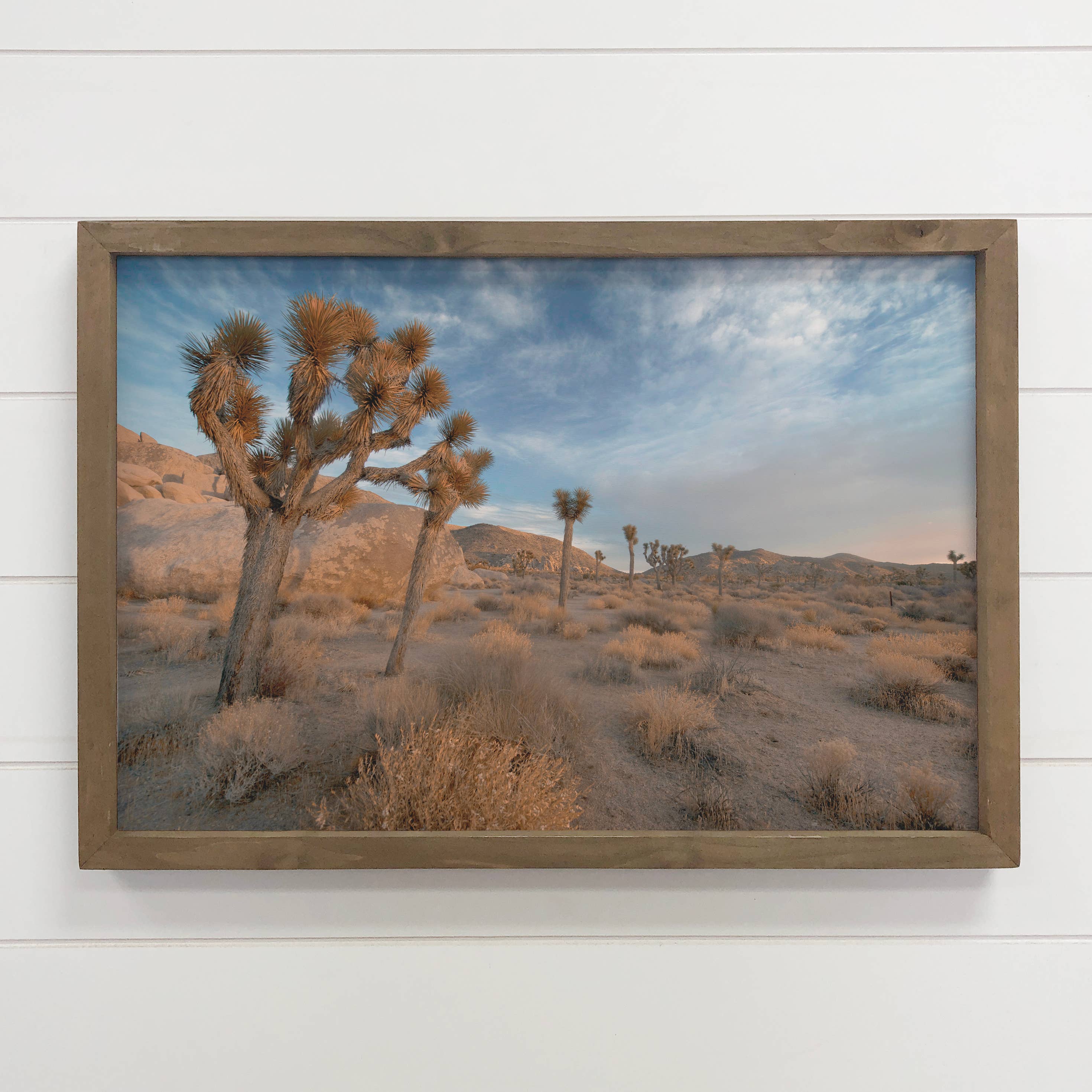 Joshua Tree Tumbleweeds - Desert Landscape Canvas Art