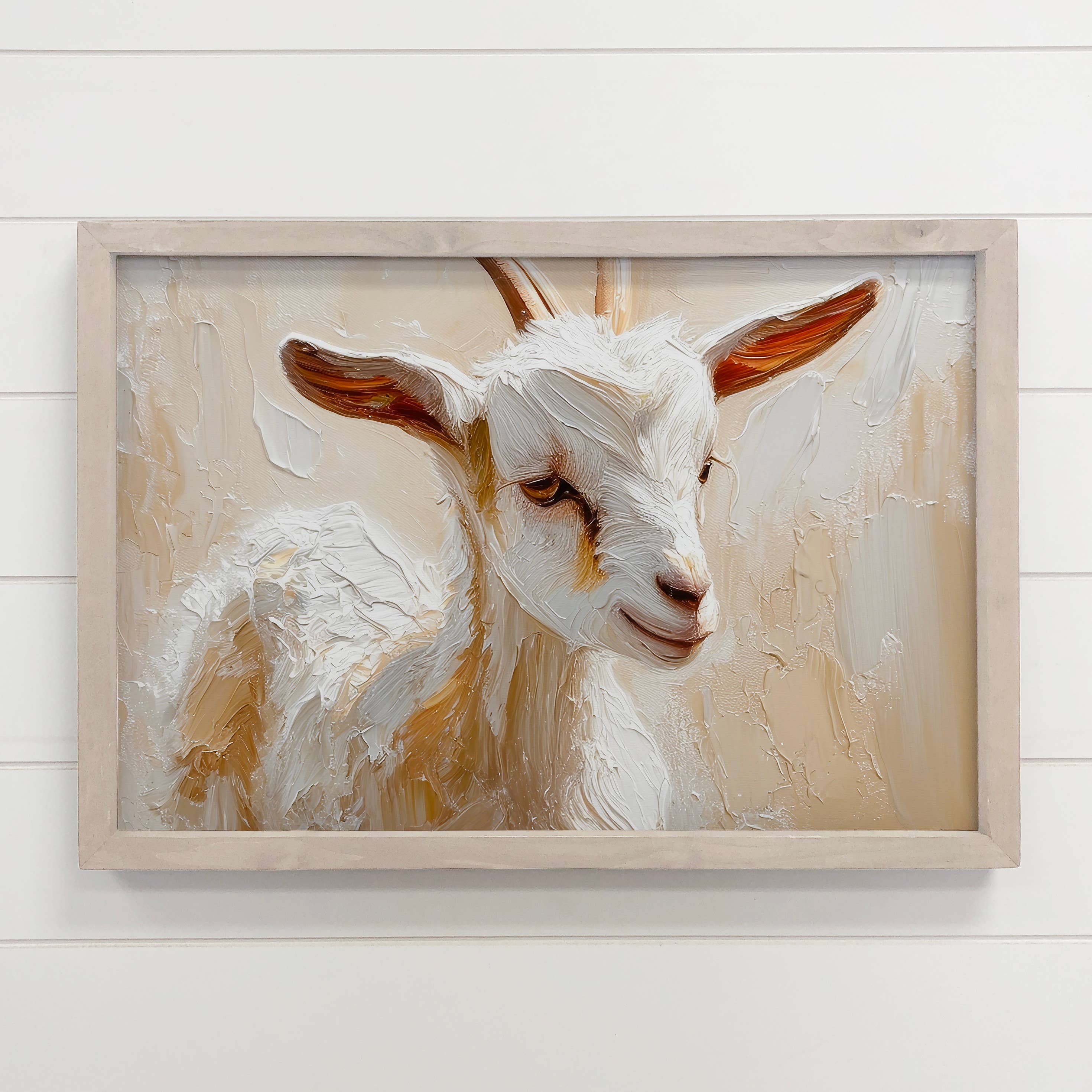 Baby White Goat - Goat Canvas Art - Wood Framed Wall Decor