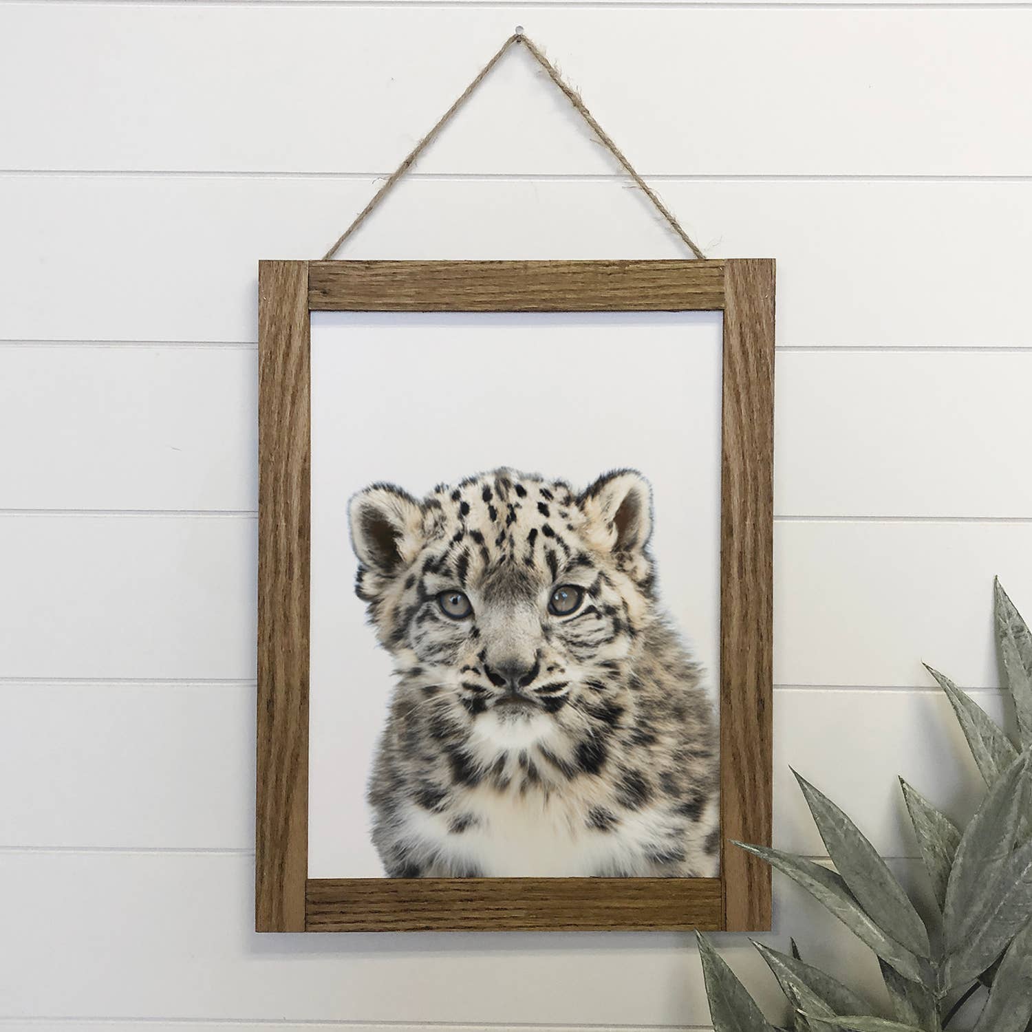 Baby Snow Leopard Wood Sign Cute Animal Wall Art