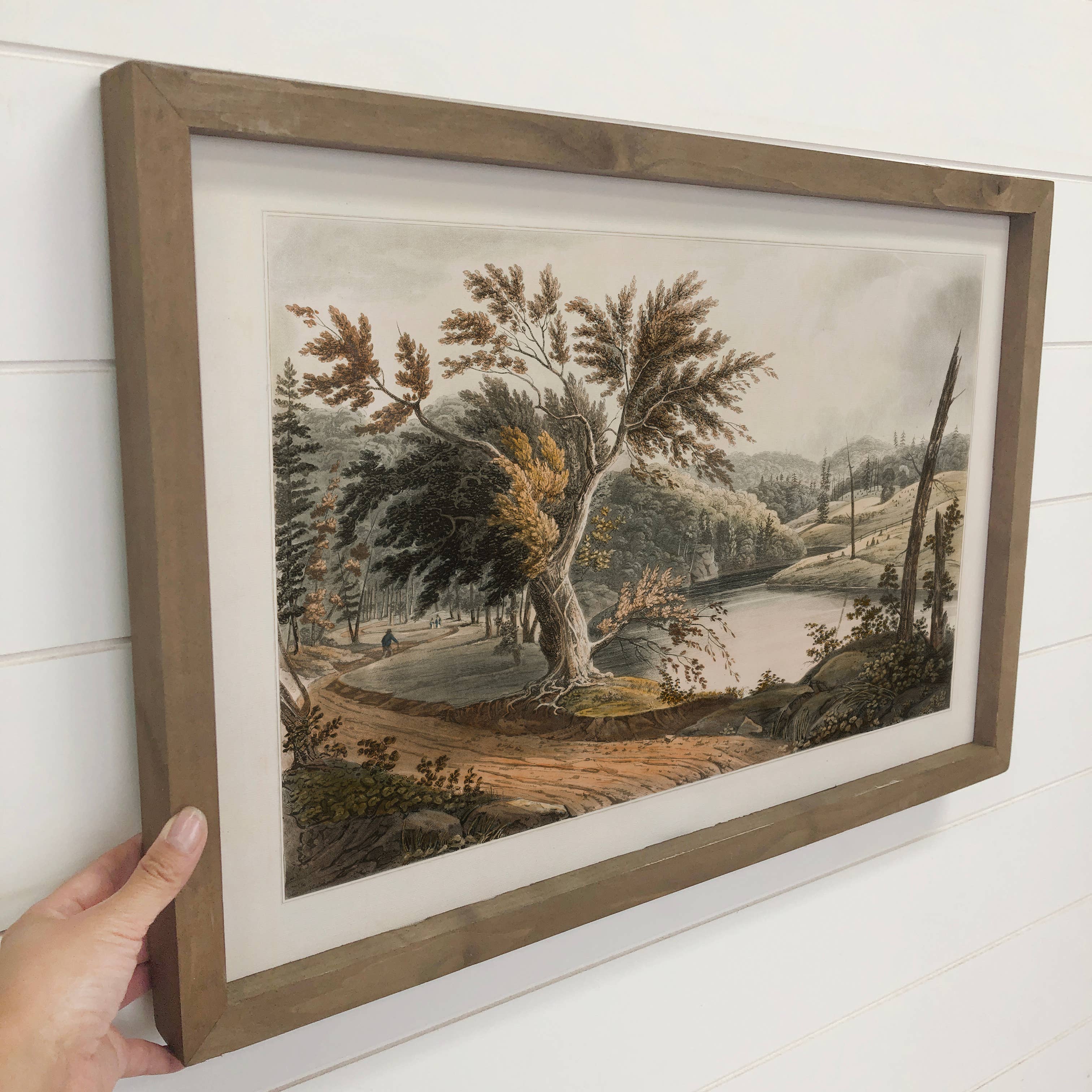 Long Island New York - Nature Canvas Art - Wood Framed Art