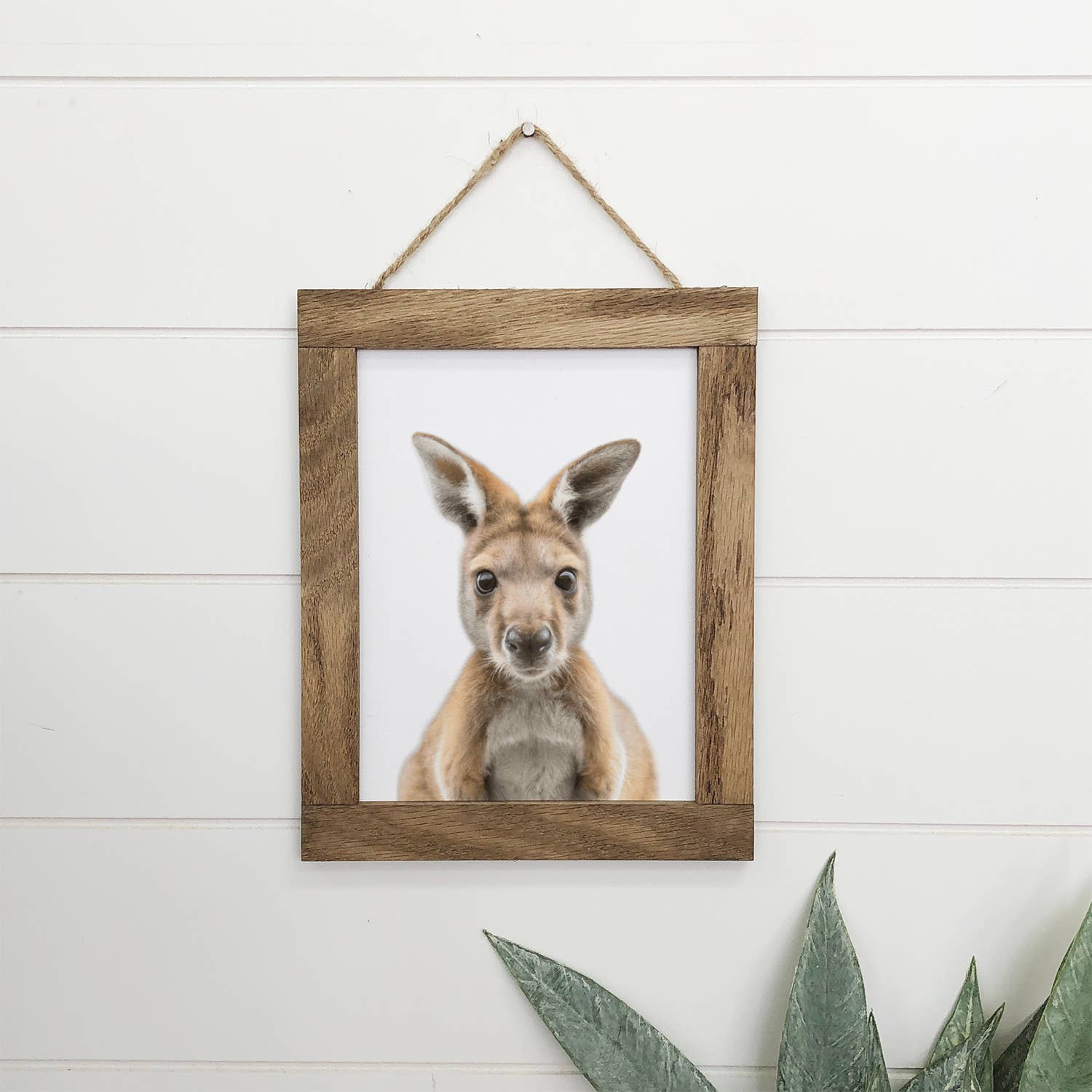Cute Baby Kangaroo Joey Wood Sign Animal Wall Art