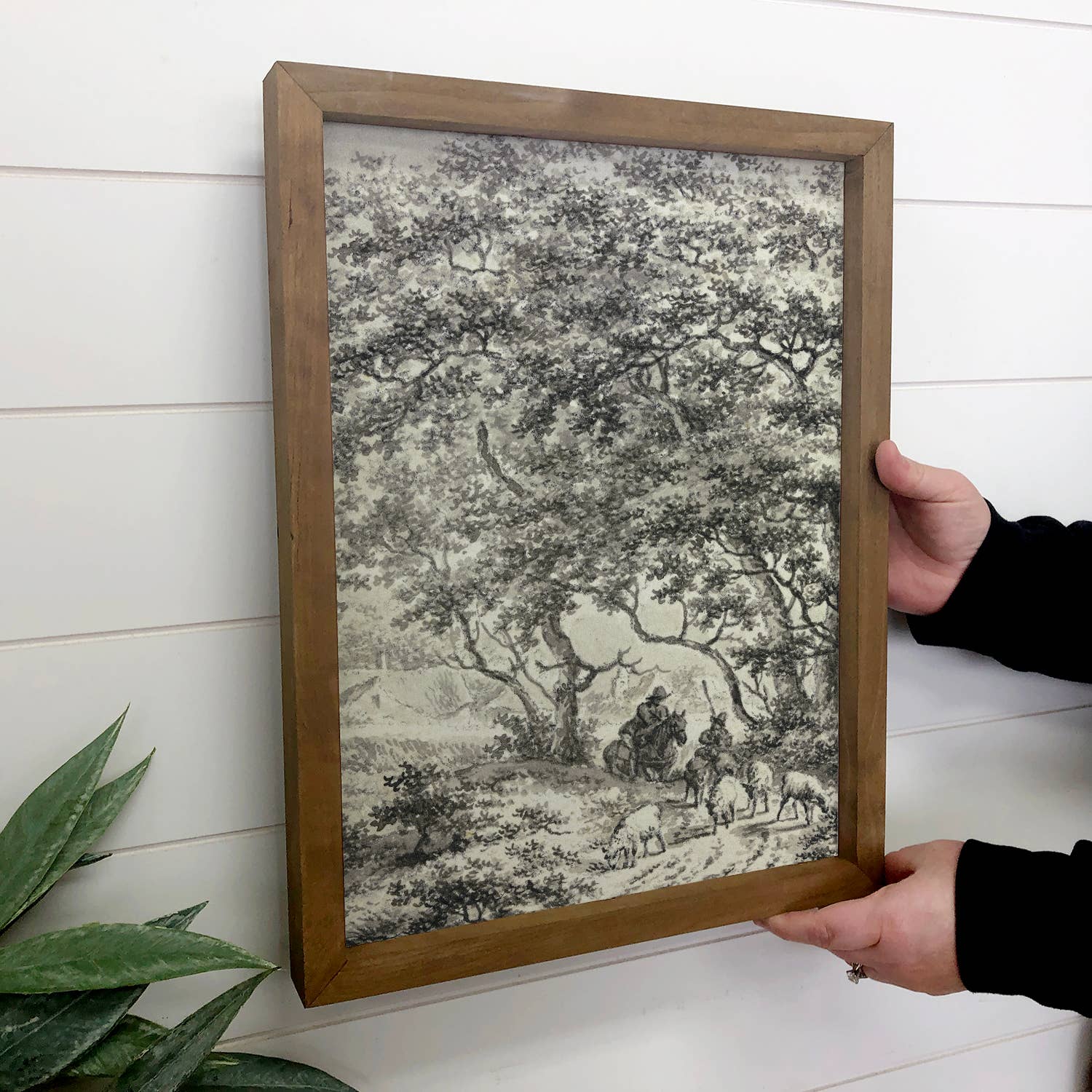 Sheep Herder Sketch - Sketch Canvas Art - Wood Framed Decor