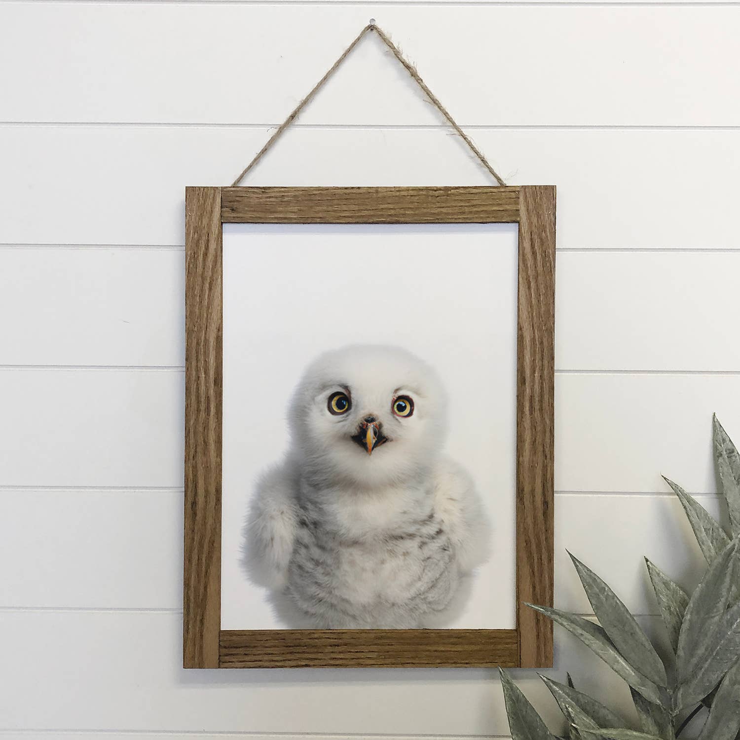 Baby Snow Owl Wood Sign Cute Animal Bird Wall Art