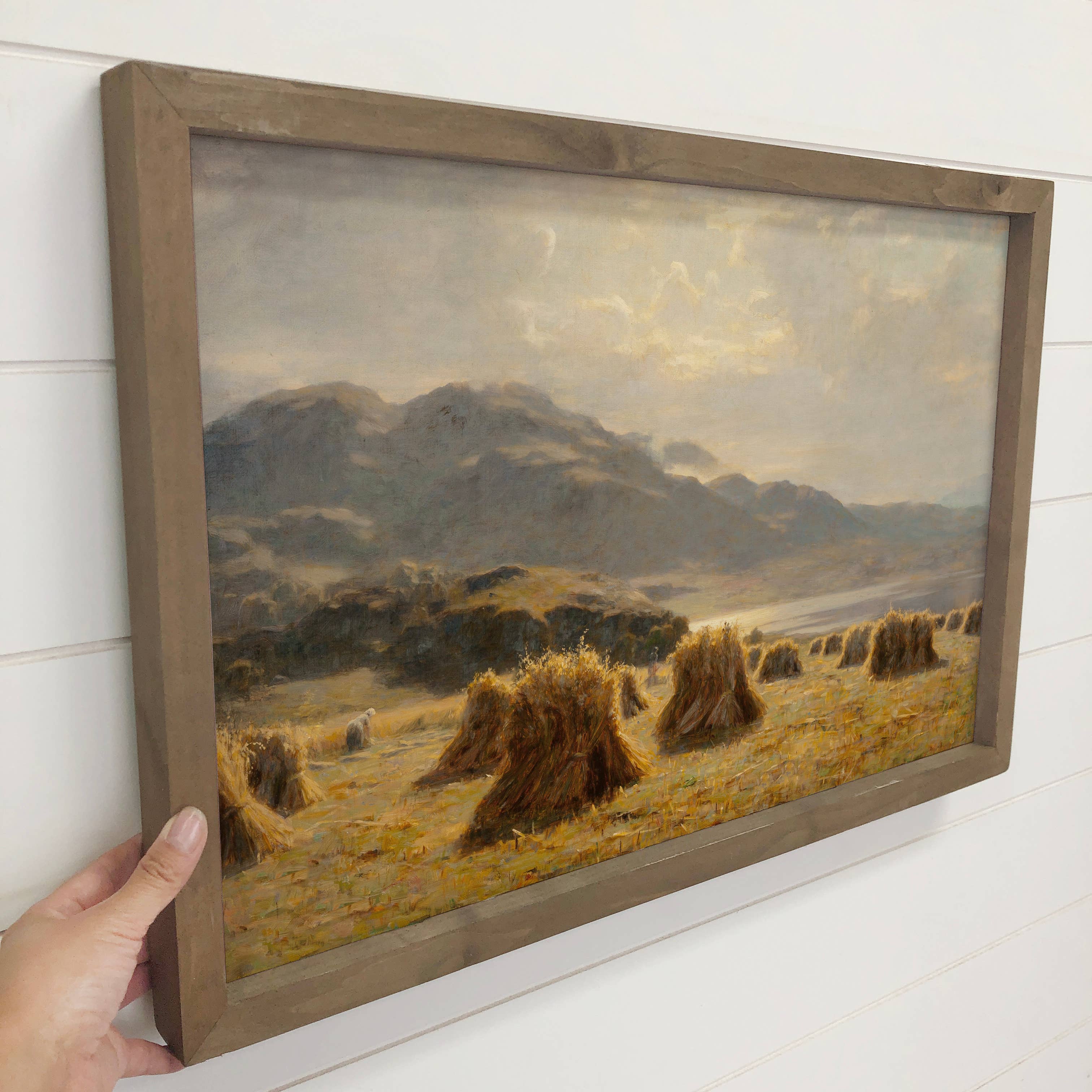 Highland Harvest - Field Harvest Canvas Art - Wood Framed