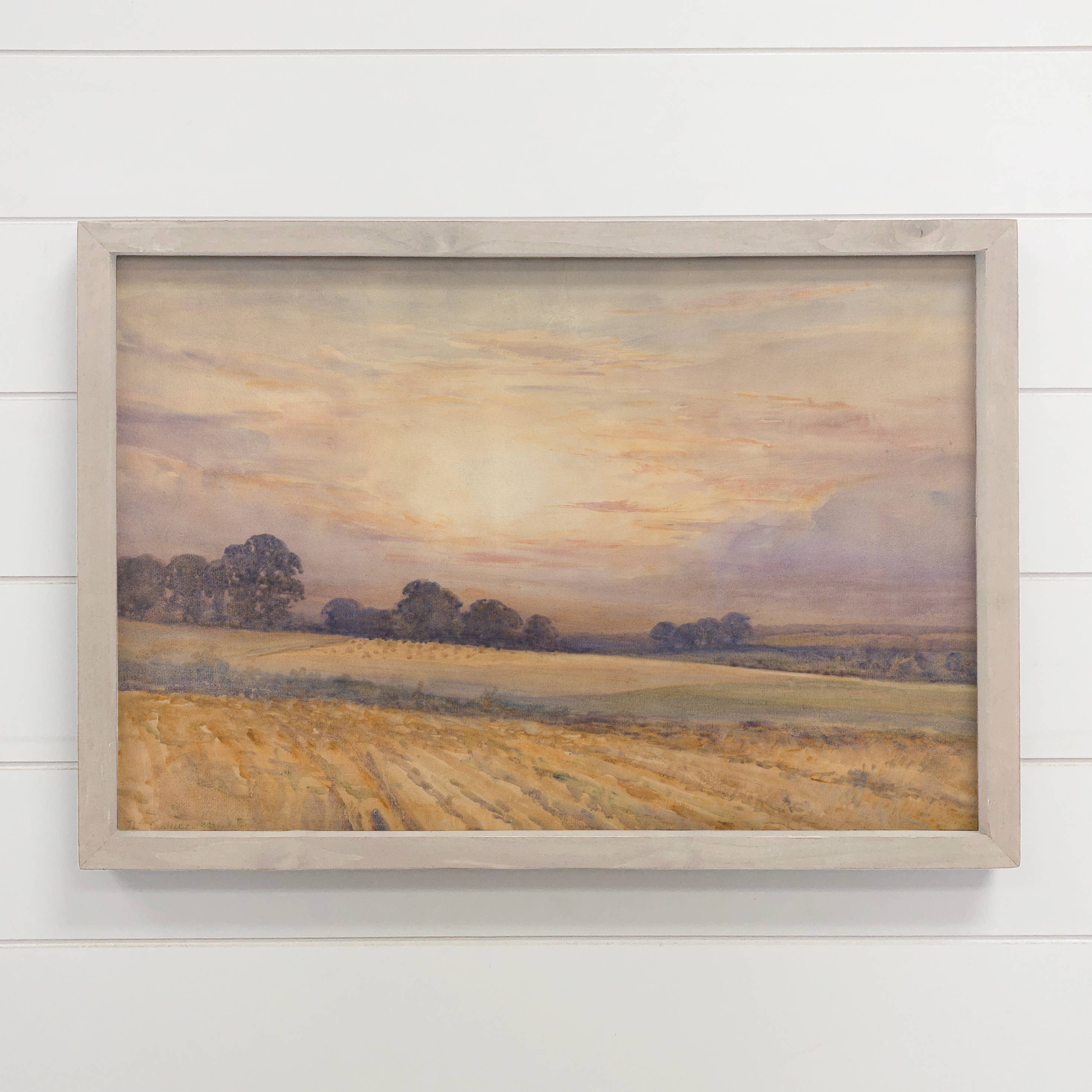 Sunset on the Field - Landscape Nature Canvas Art - Framed