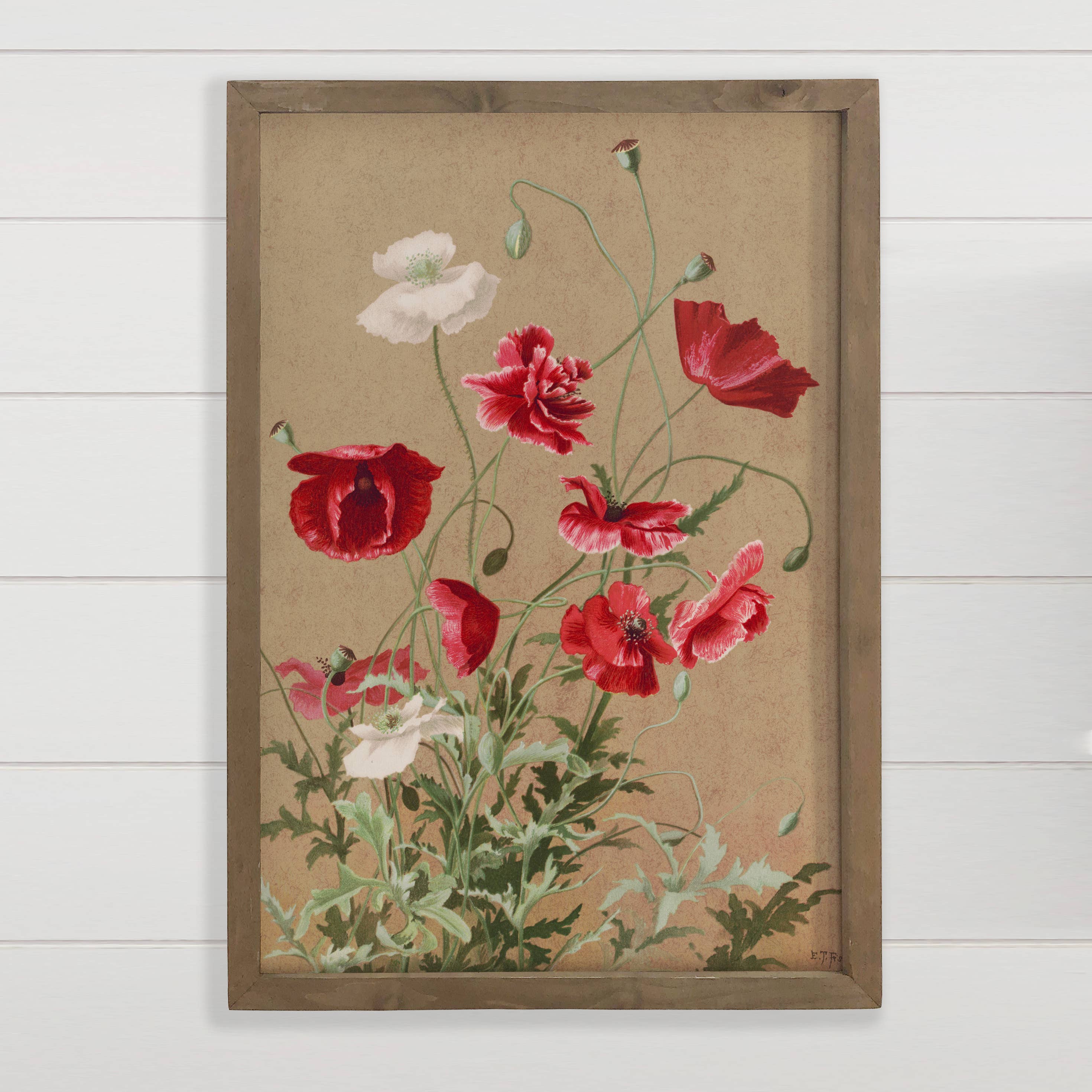 Poppies on Kraft - Nature Wall Art - Farmhouse Living Room