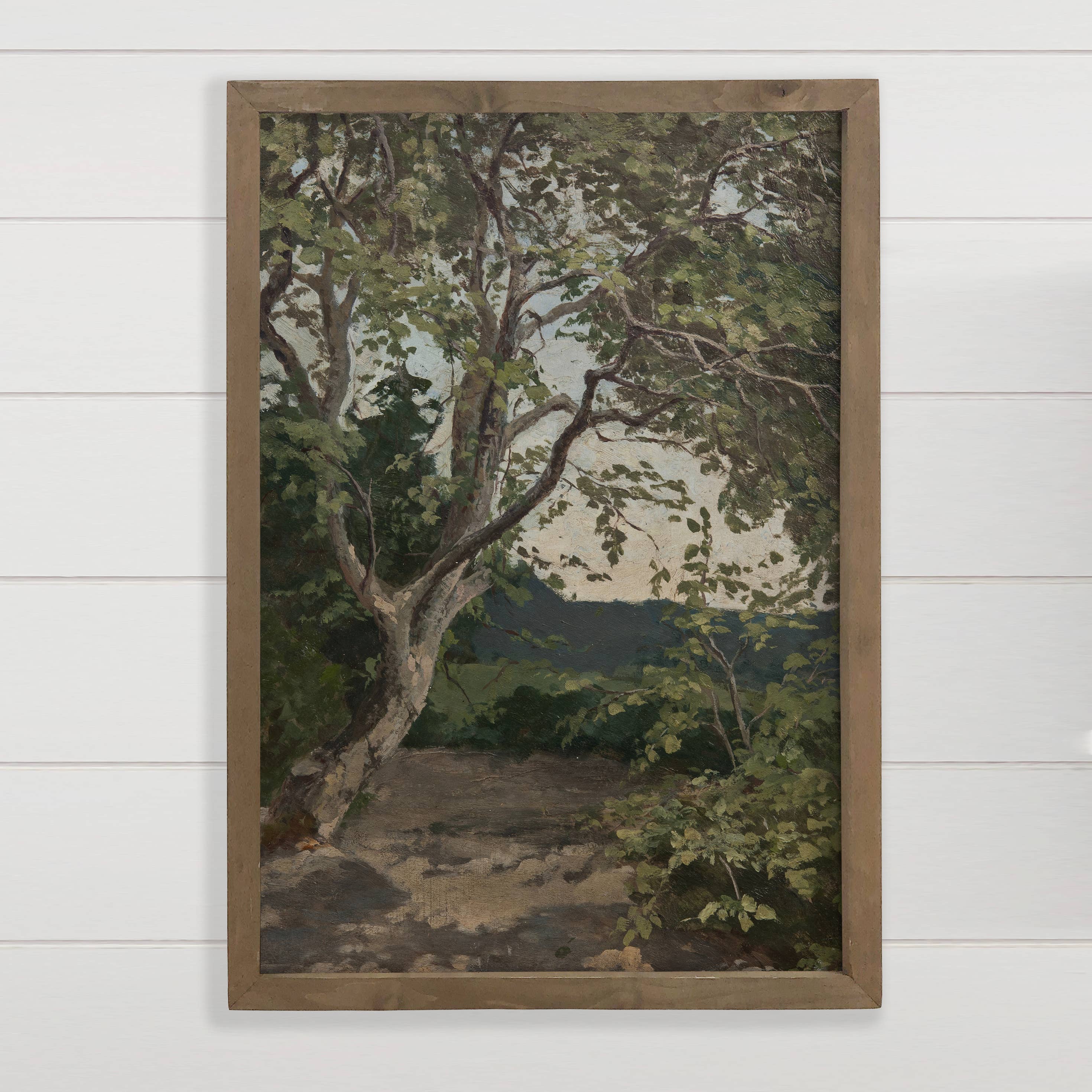 Tree Study - Tree Landscape Canvas Art - Wood Framed Art