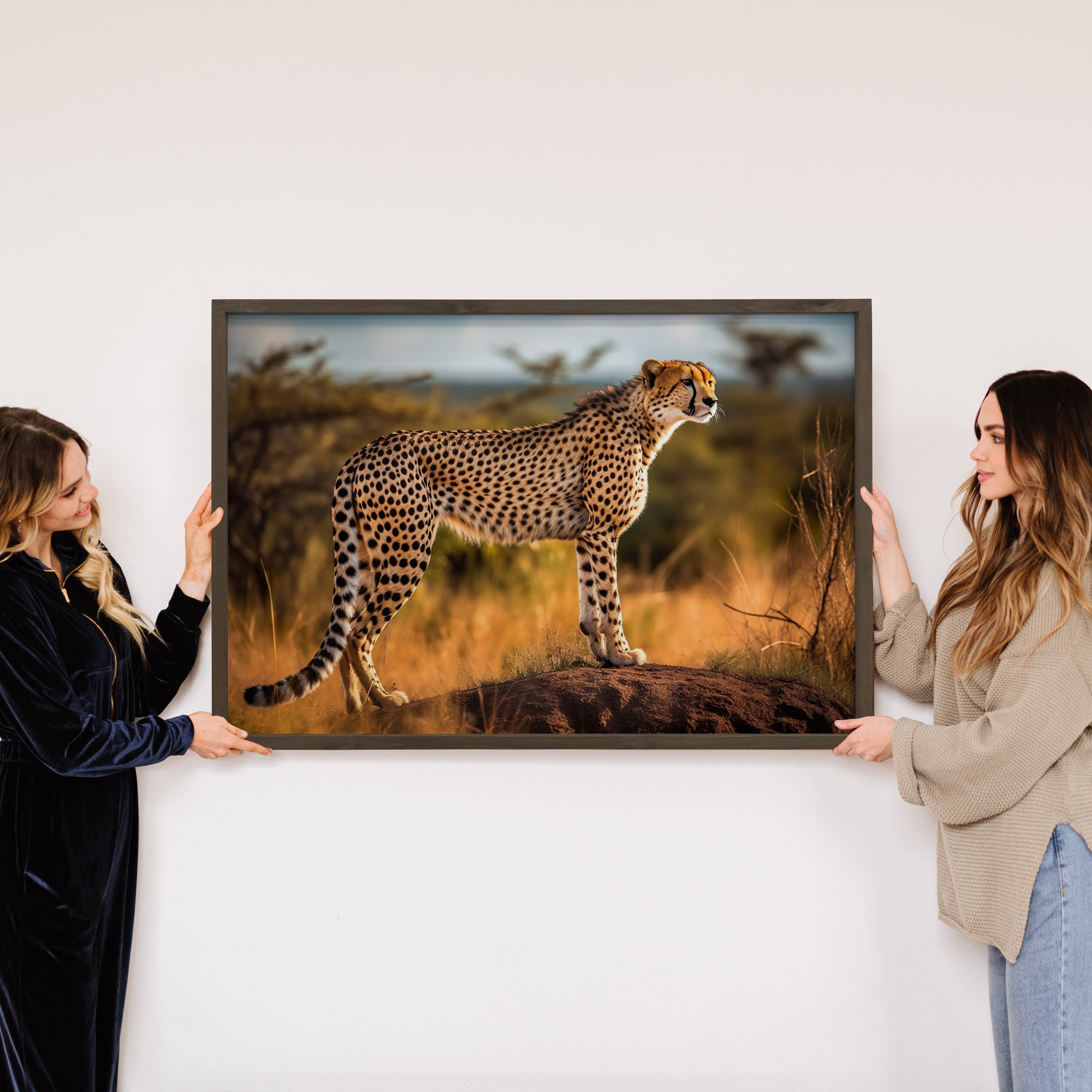 Cheetah Stance - African Cat Wildlife Photograph - Framed