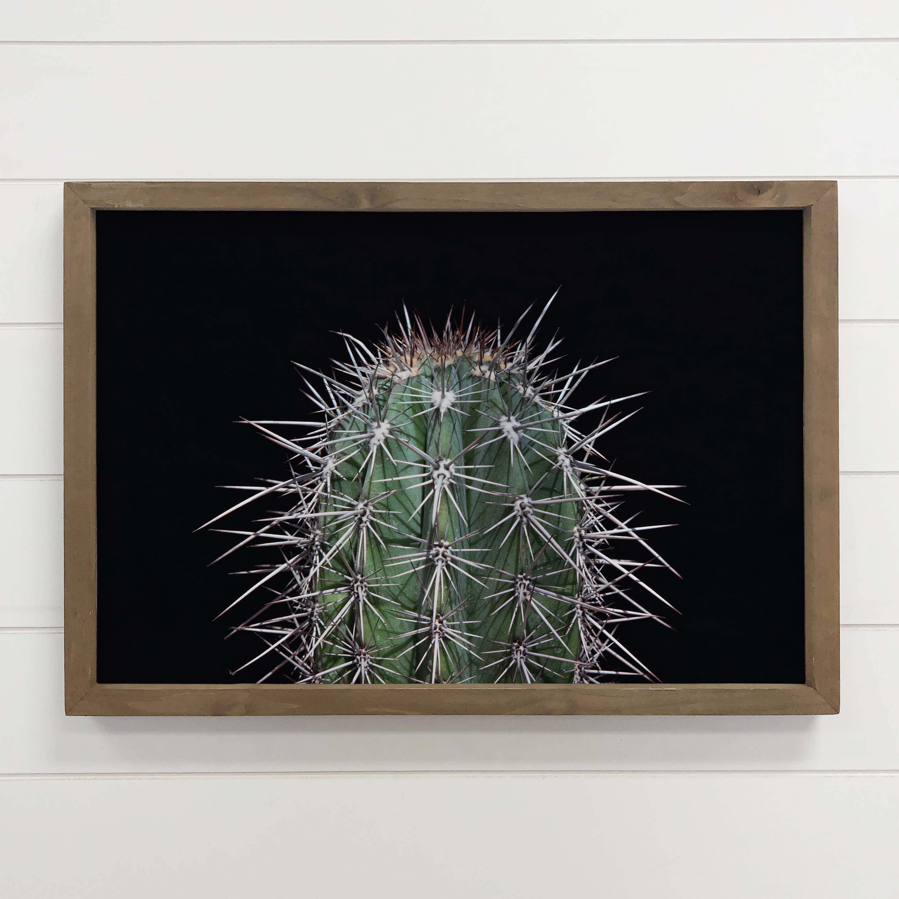 Cactus Spikes - Cactus Canvas Wall Art - Wood Framed Decor