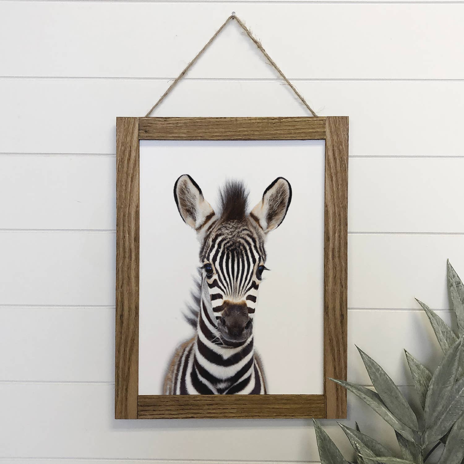 Baby Zebra Wood Sign Cute Animal Wall Art