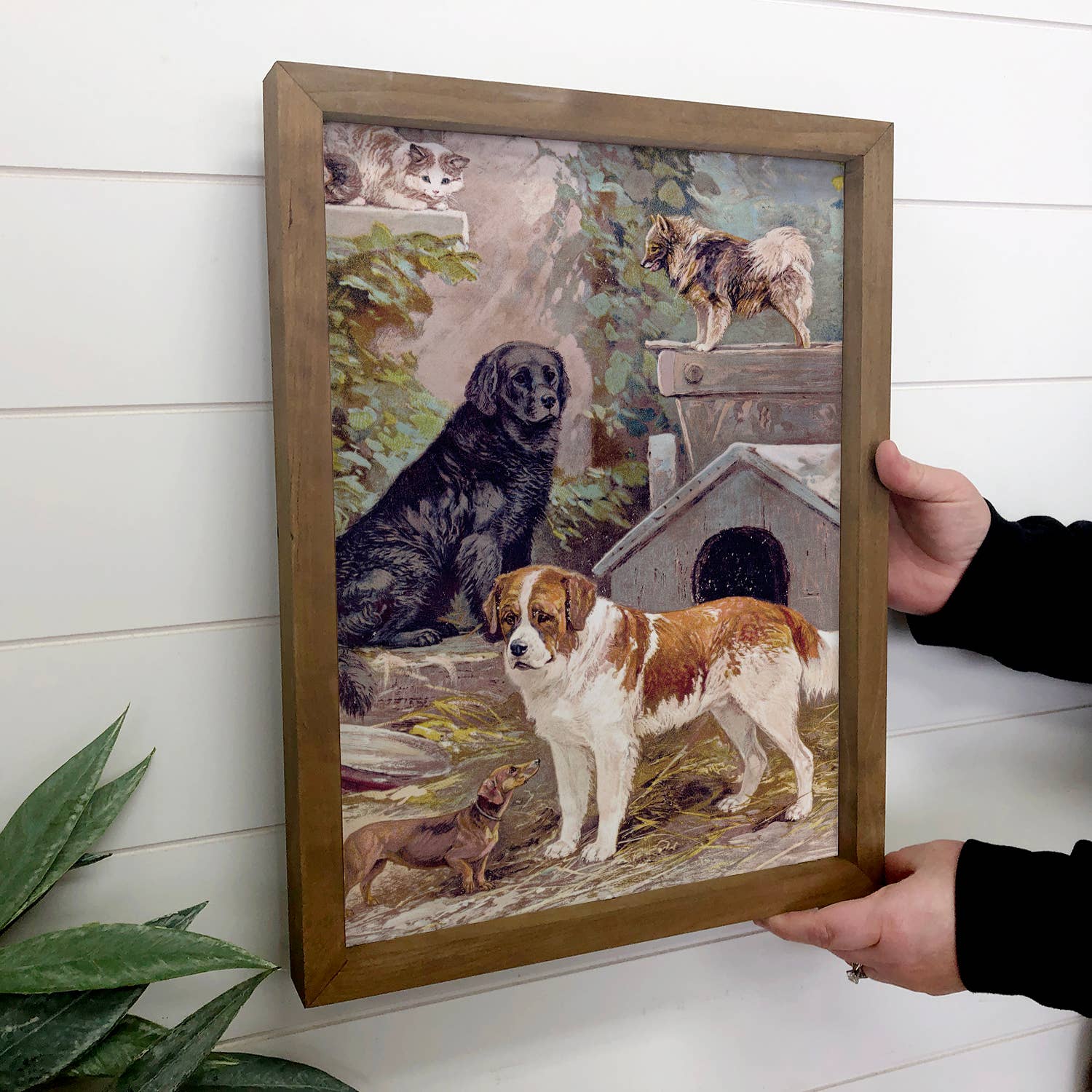 Dogs and Cat Friends - Animal Canvas Art - Wood Framed Art