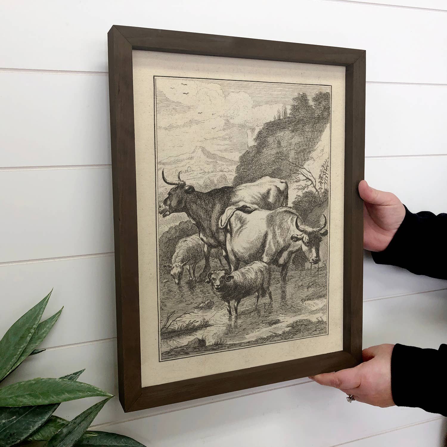 Cows and Mountain Sheep Sketch - Farmhouse Canvas Art