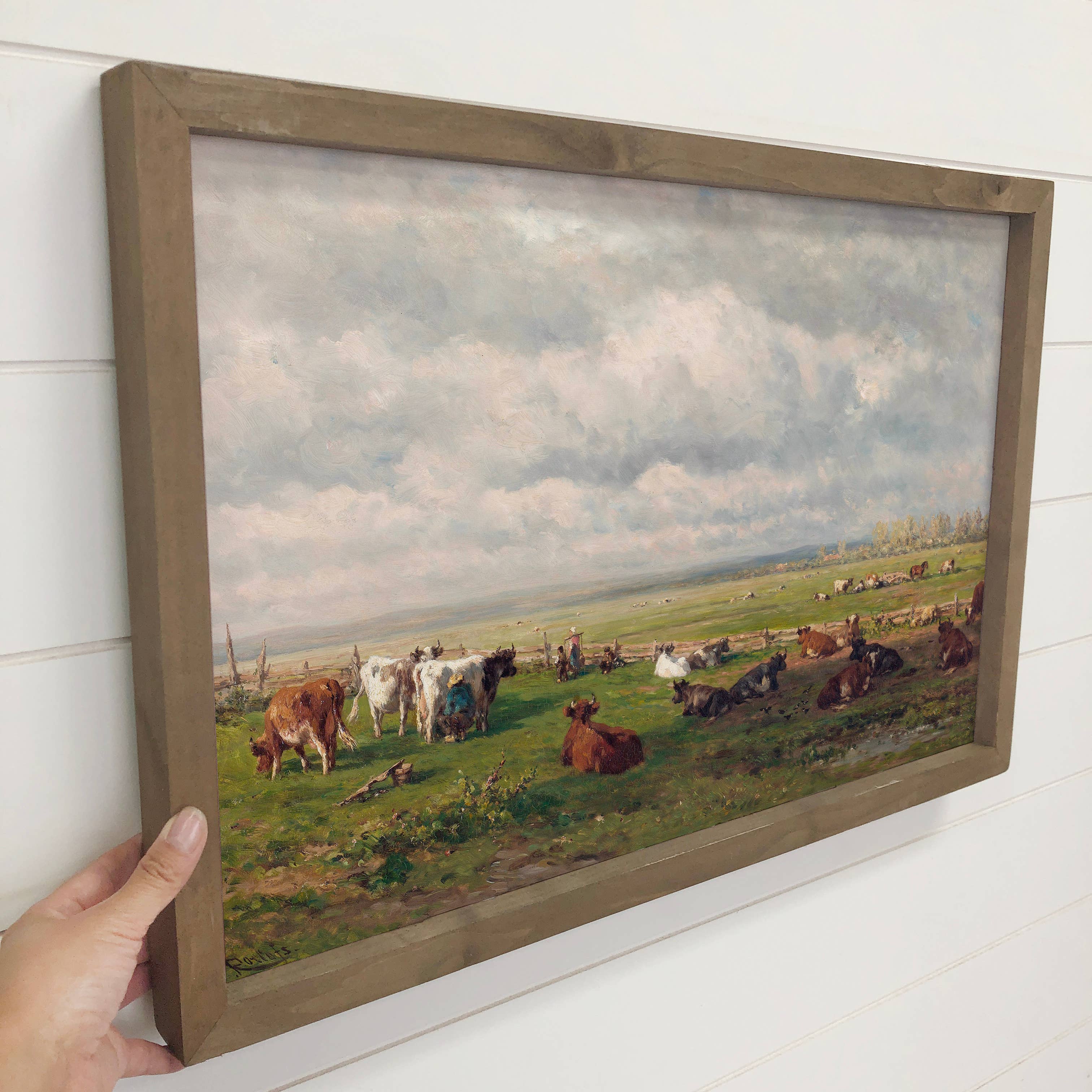 Cows in the Field - Farmhouse Canvas Art - Wood Framed Art