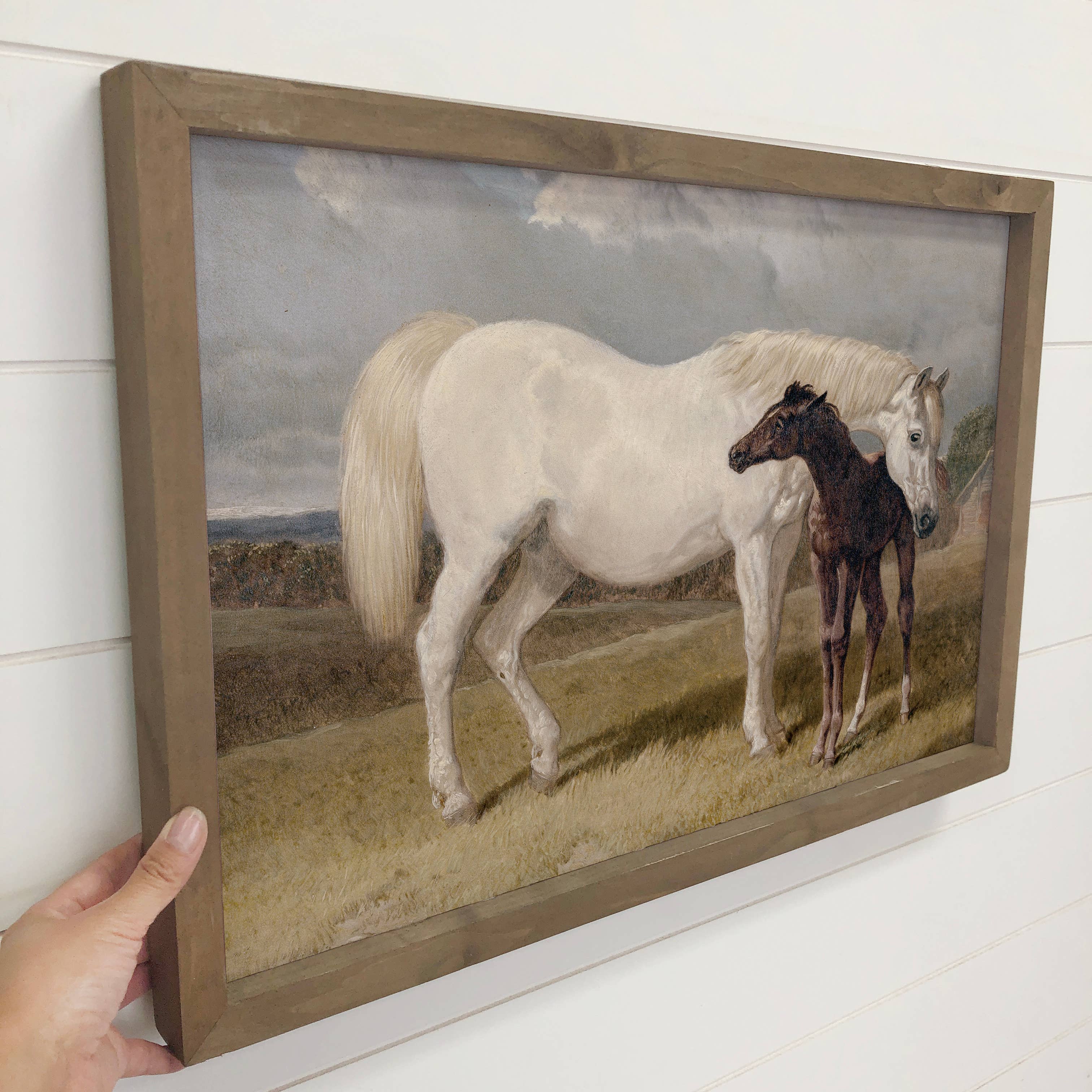 White Mare Brown Foal - Horse Canvas Art - Wood Framed Decor