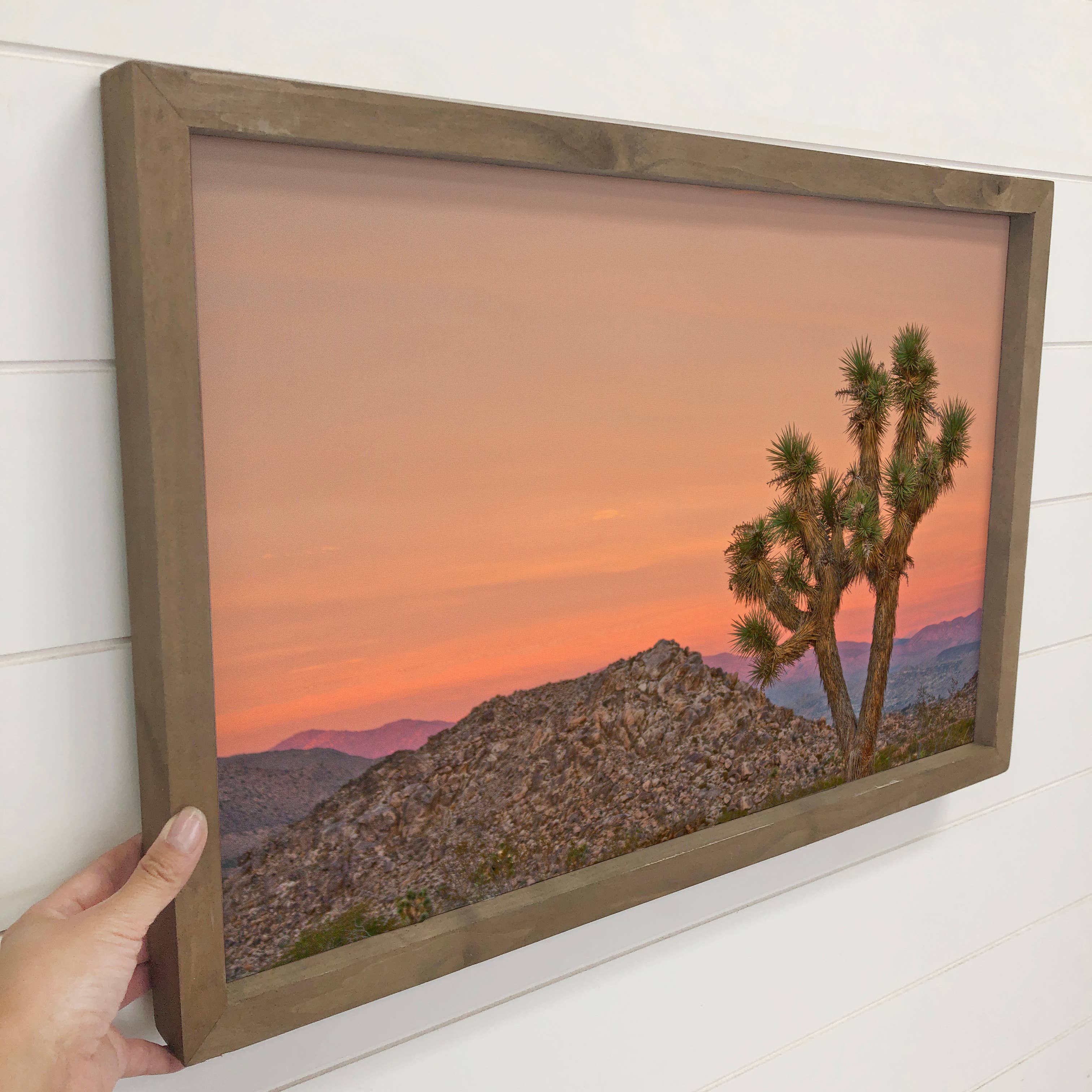 Joshua Tree Orange Sky - Framed Nature Wall Art - Desert Art