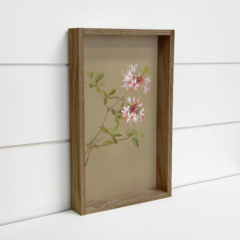 Beige Botanical Azaleas - Flower Canvas Art - Wood Framed