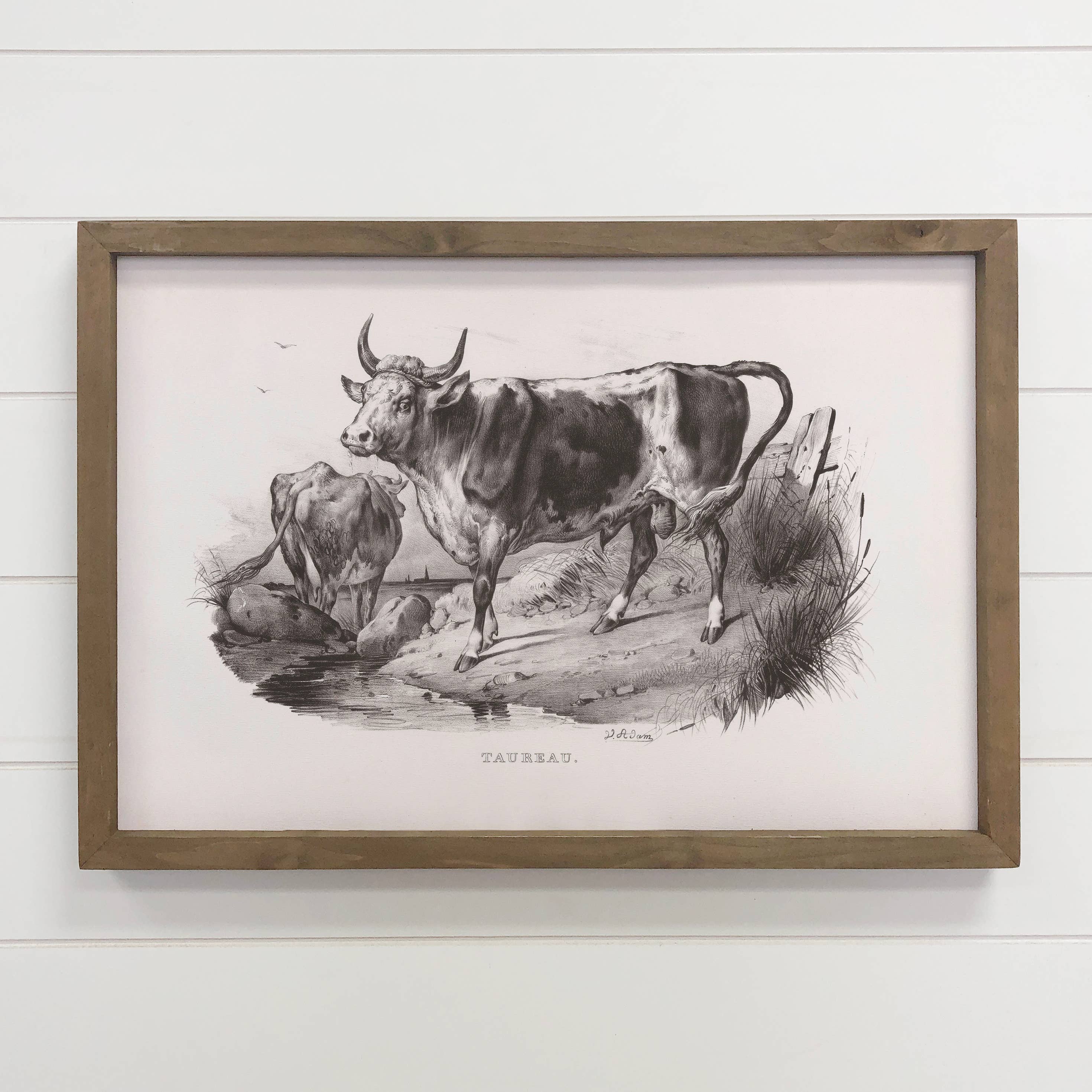 Bull Cow Sketch - Farmhouse Canvas Wall Art - Framed Artwork