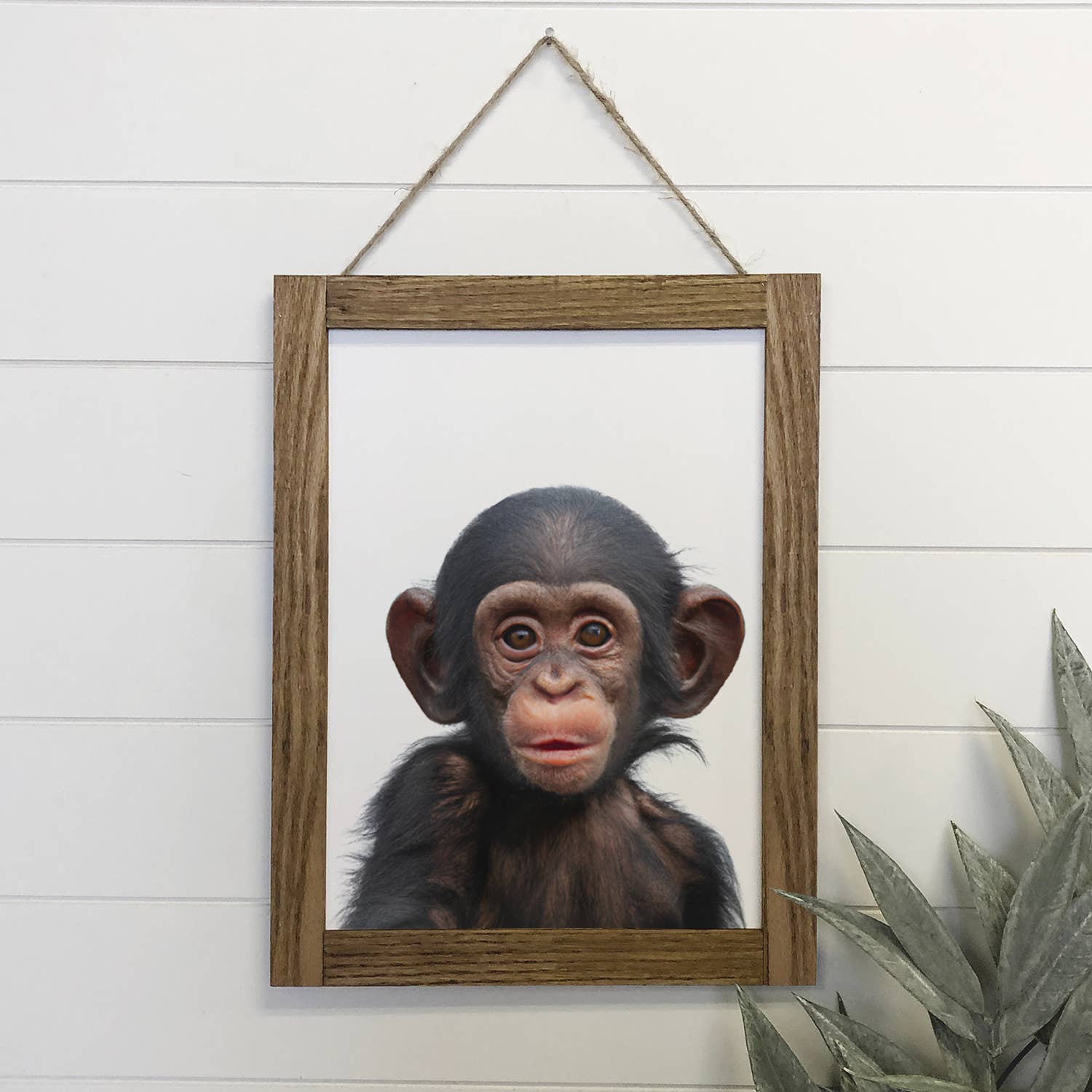 Cute Baby Chimpanzee Wood Sign Animal Wall Art