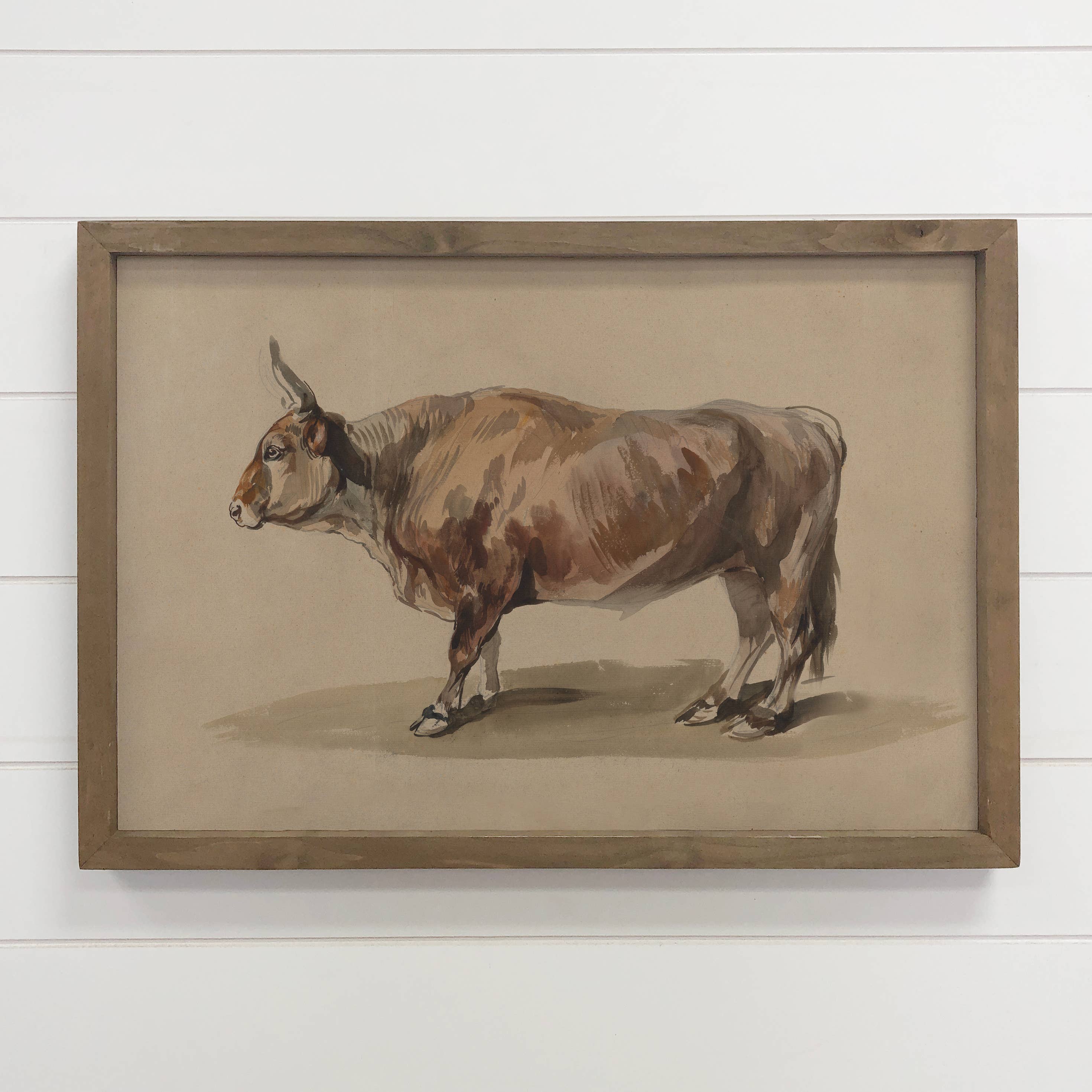 Ox Study Painting - Farm Animal Canvas Art - Wood Framed