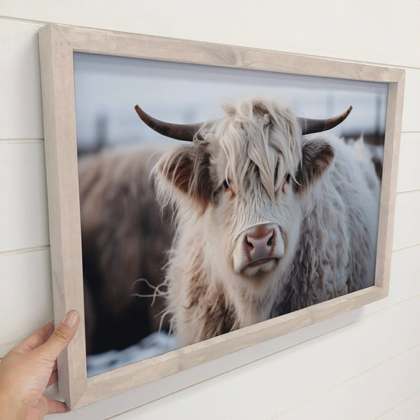 White Highland Cow - Farmhouse Décor - Framed Animal Photo