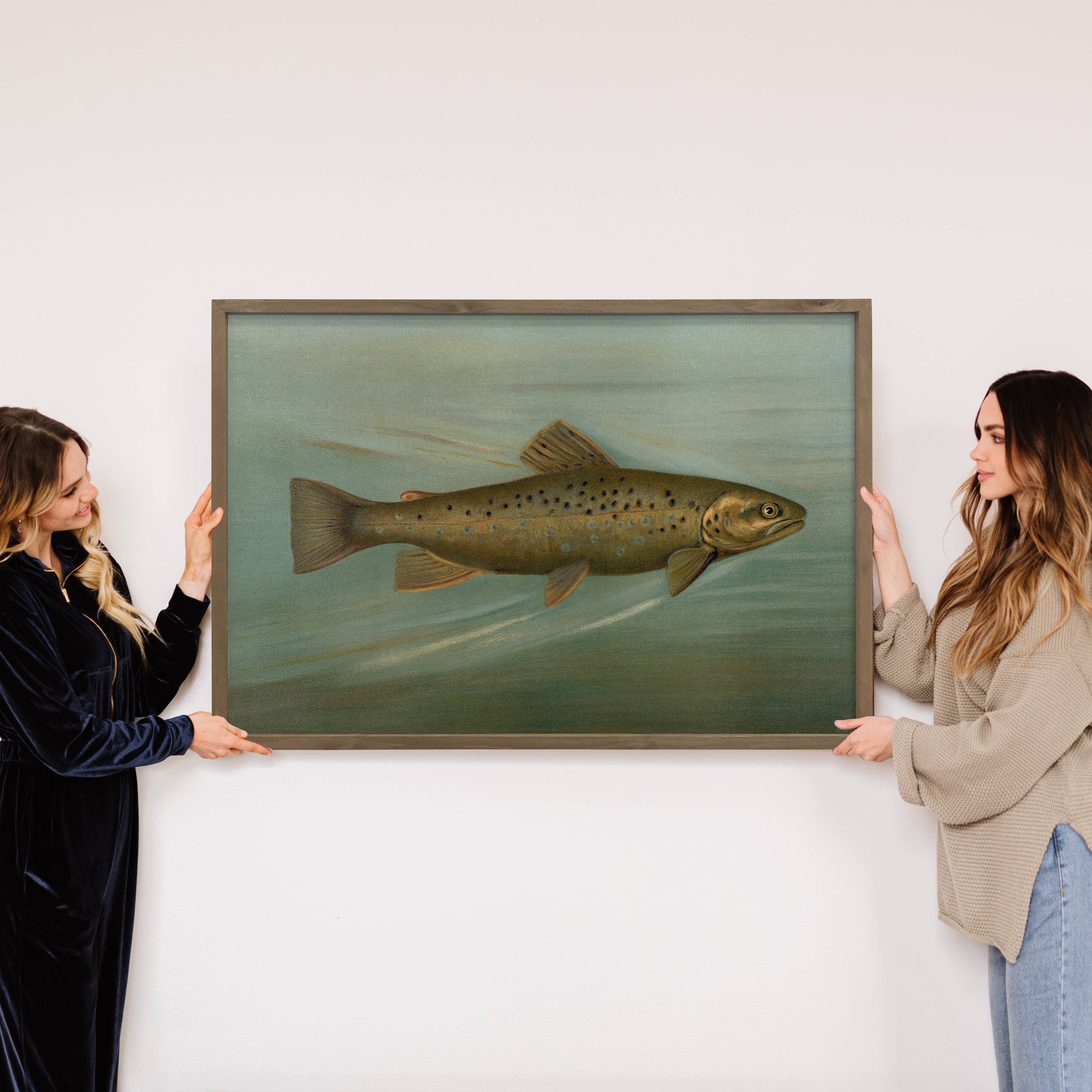 Fish Study Brown Trout - Fish Canvas Art - Wood Framed