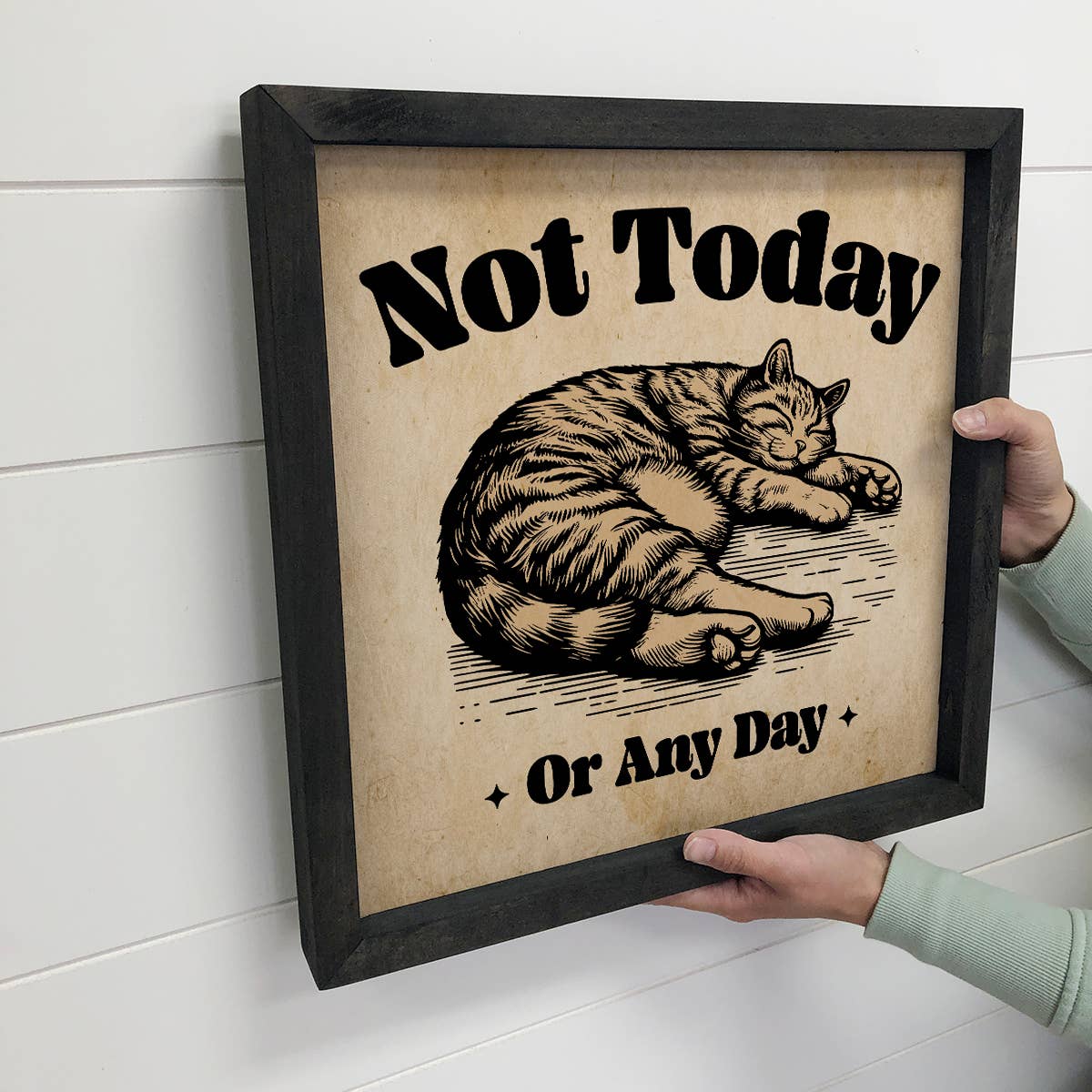 Not Today or Any Day Cat - Cute Cat Canvas Art - Wood Framed