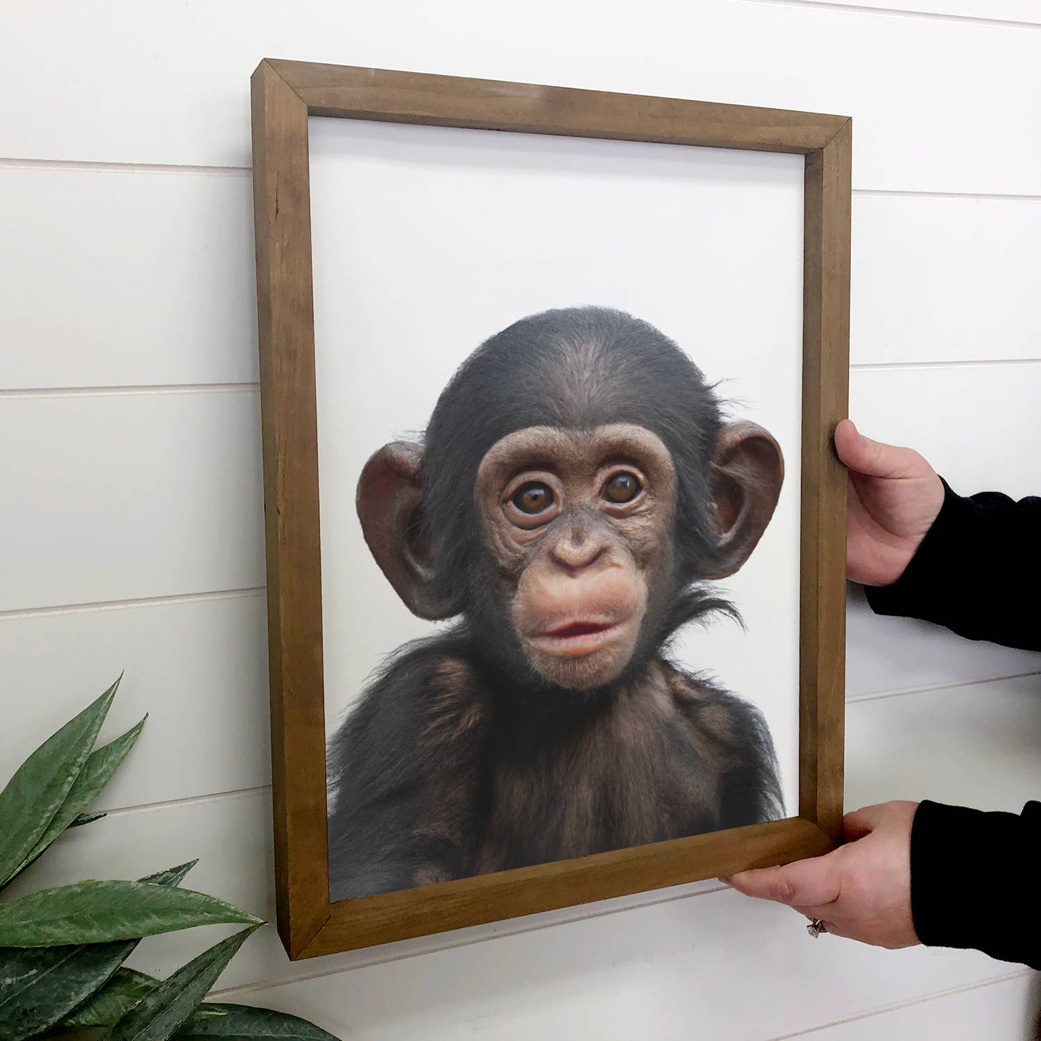 Cute Baby Chimpanzee Wood Sign Animal Wall Art