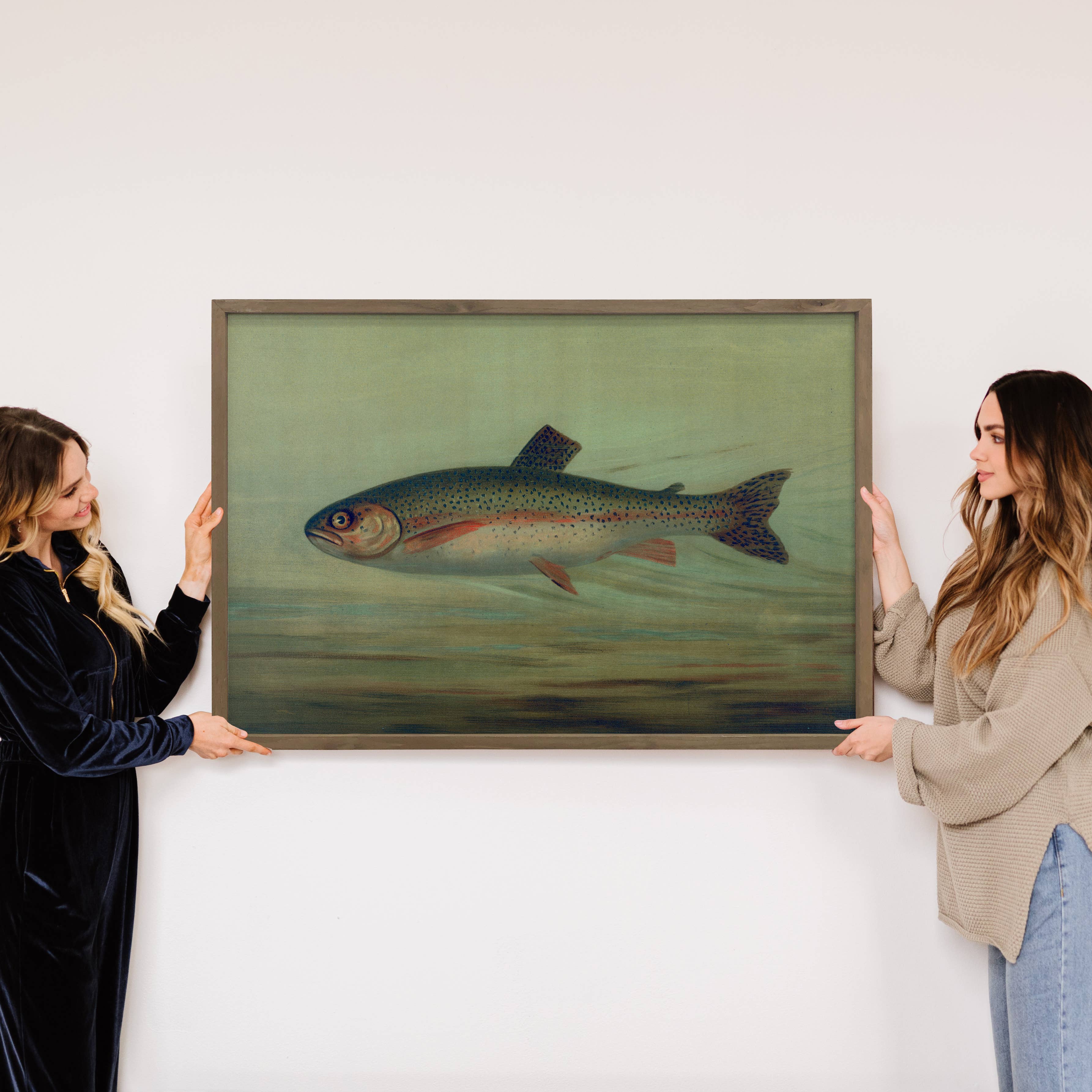 Fish Study Rainbow Trout - Fish Canvas Art - Wood Framed Art