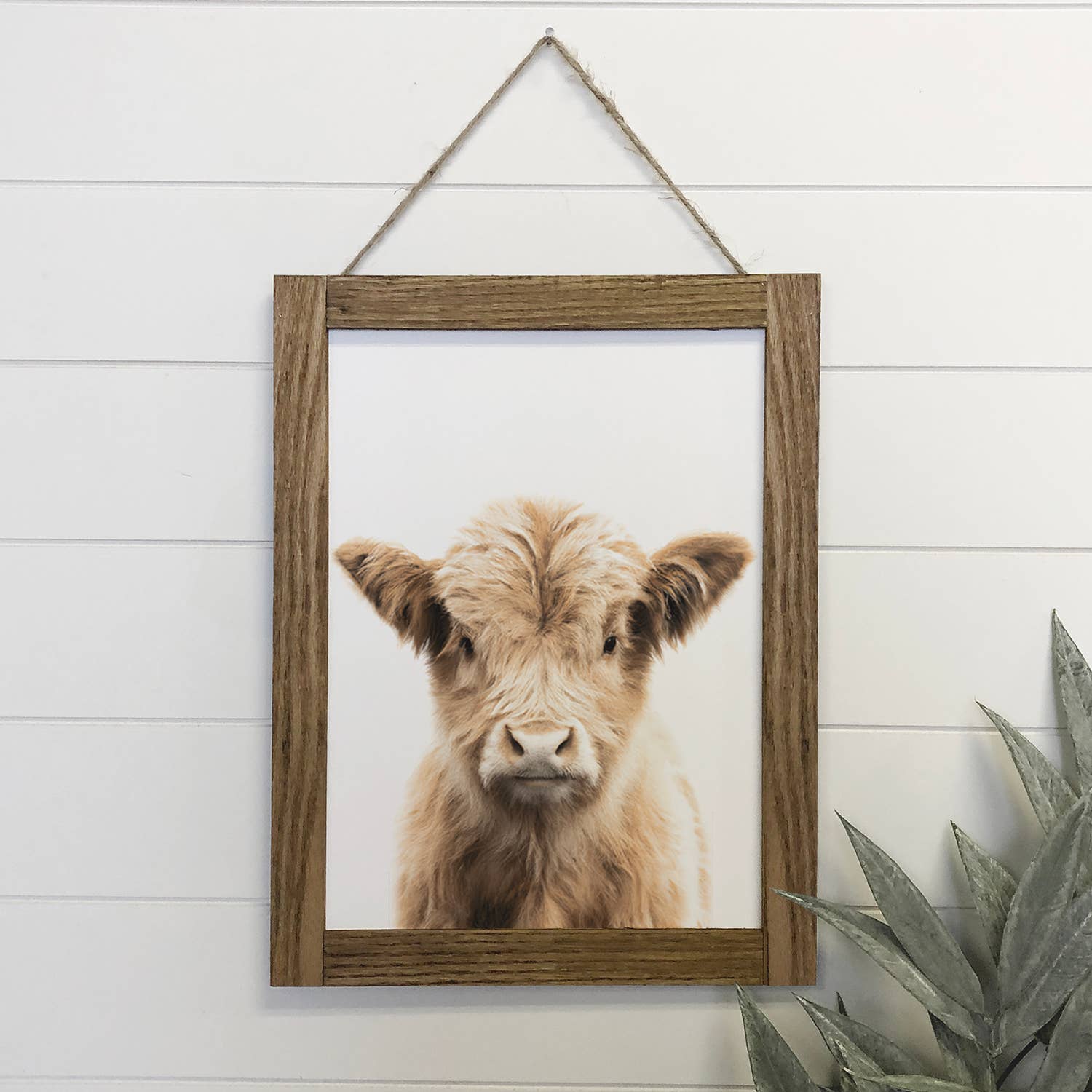 Baby Highland Cow Wood Farmhouse Sign Cute Animal Wall Art