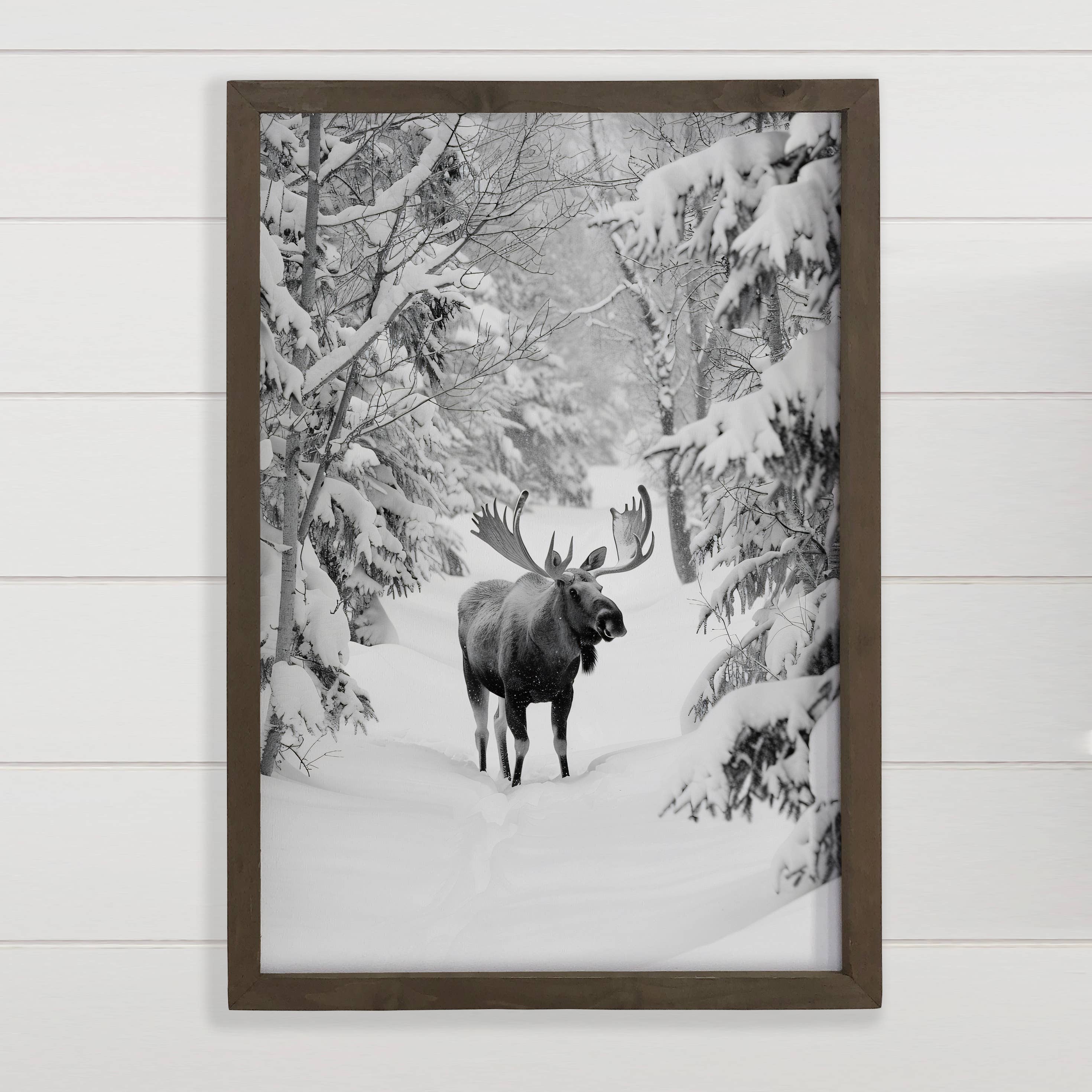 Moose in the Snow - Winter Animal Canvas Art - Wood Framed