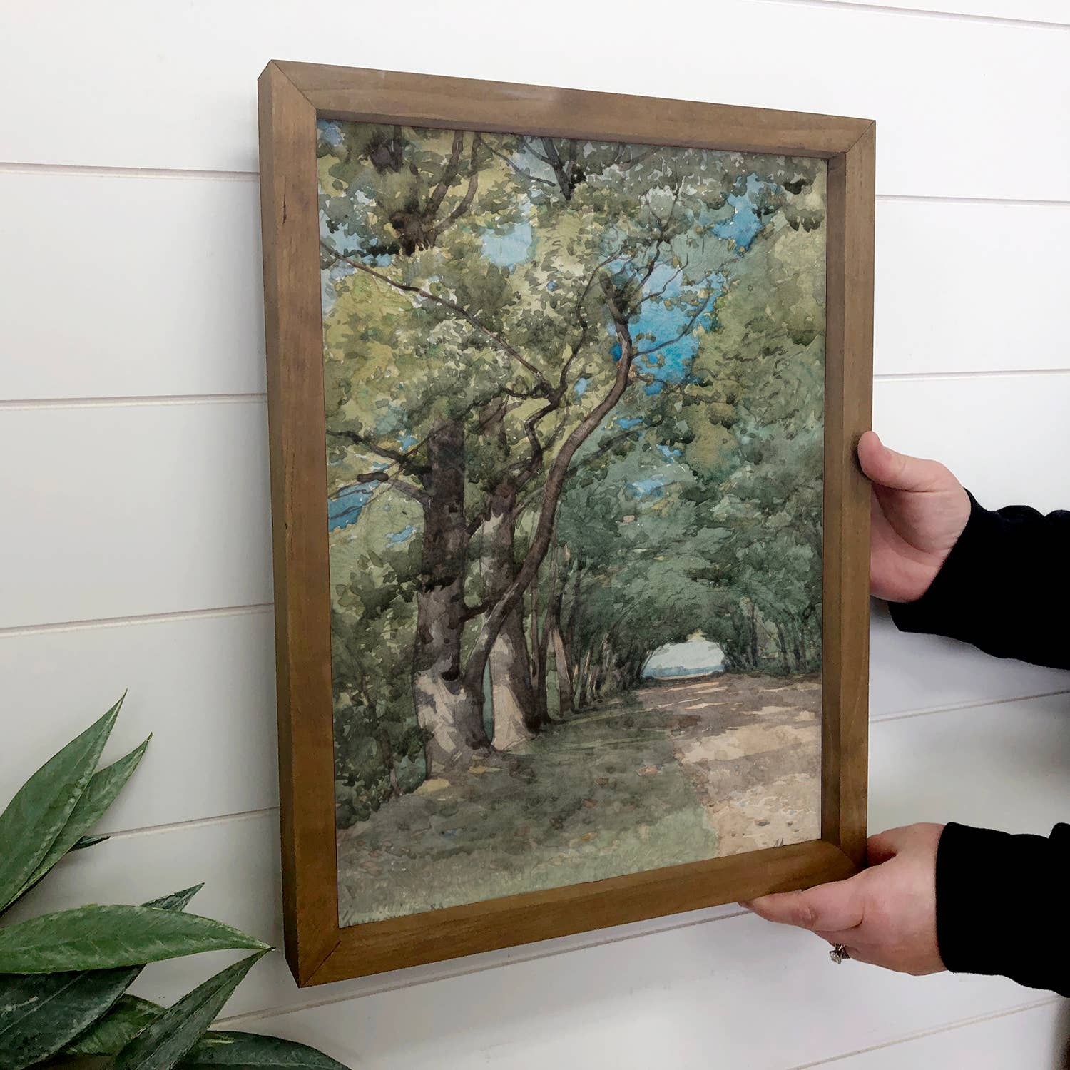 Tree Tunnel - Tree Canvas Wall Art - Wood Framed Nature Art
