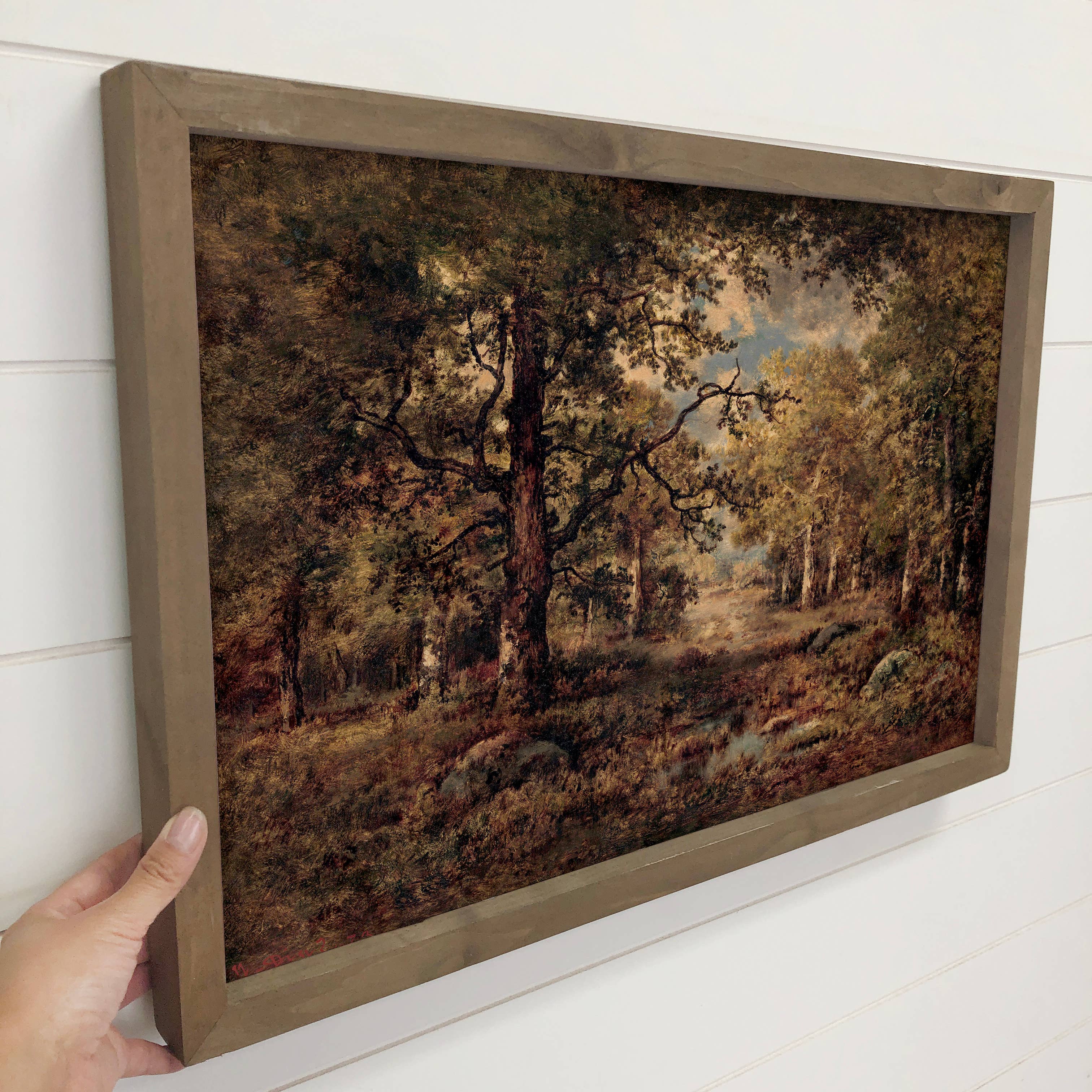 Oak Woodland - Woodland Landscape Canvas Art - Wood Framed