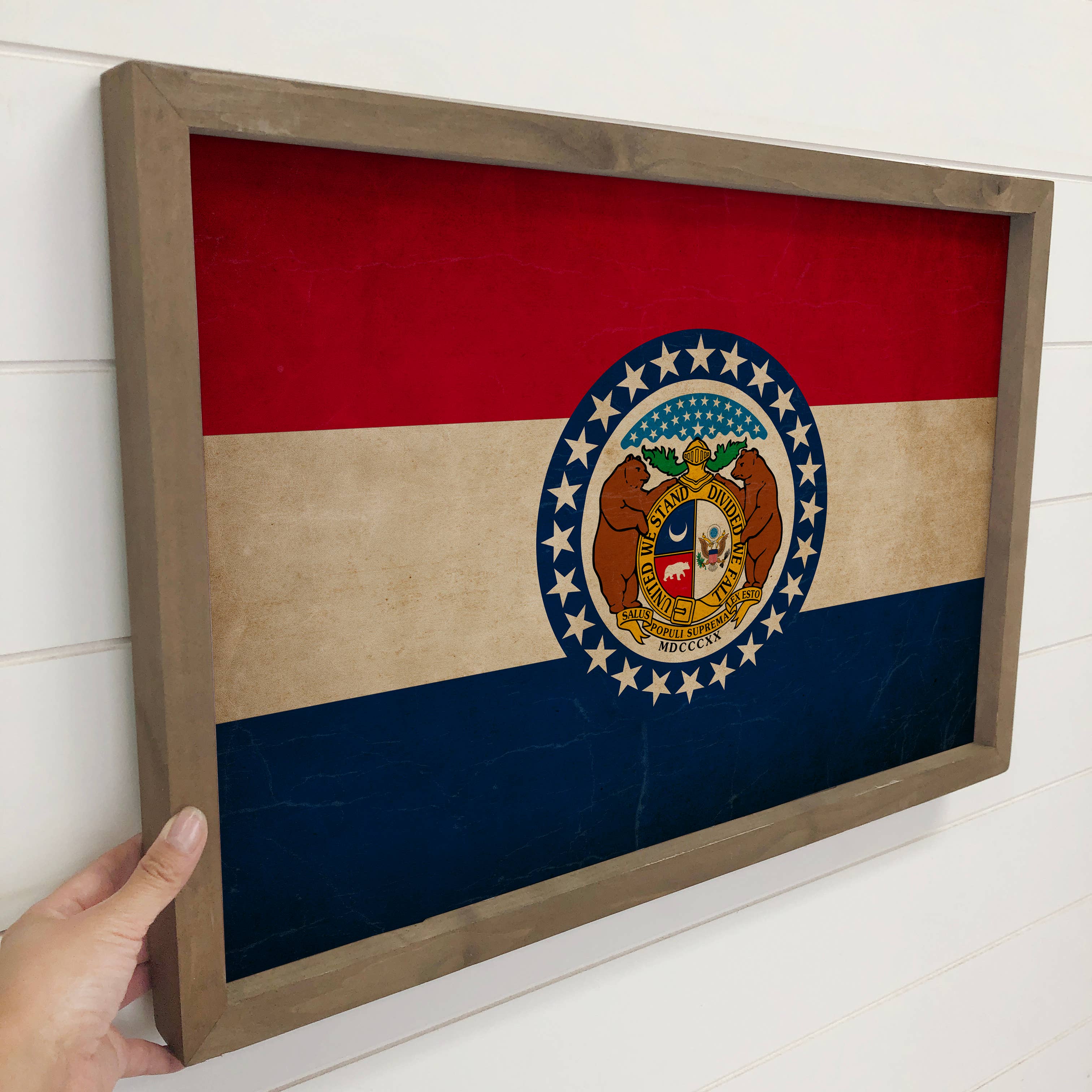 Missouri Vintage Flag - State Flag Canvas Art - Wood Framed