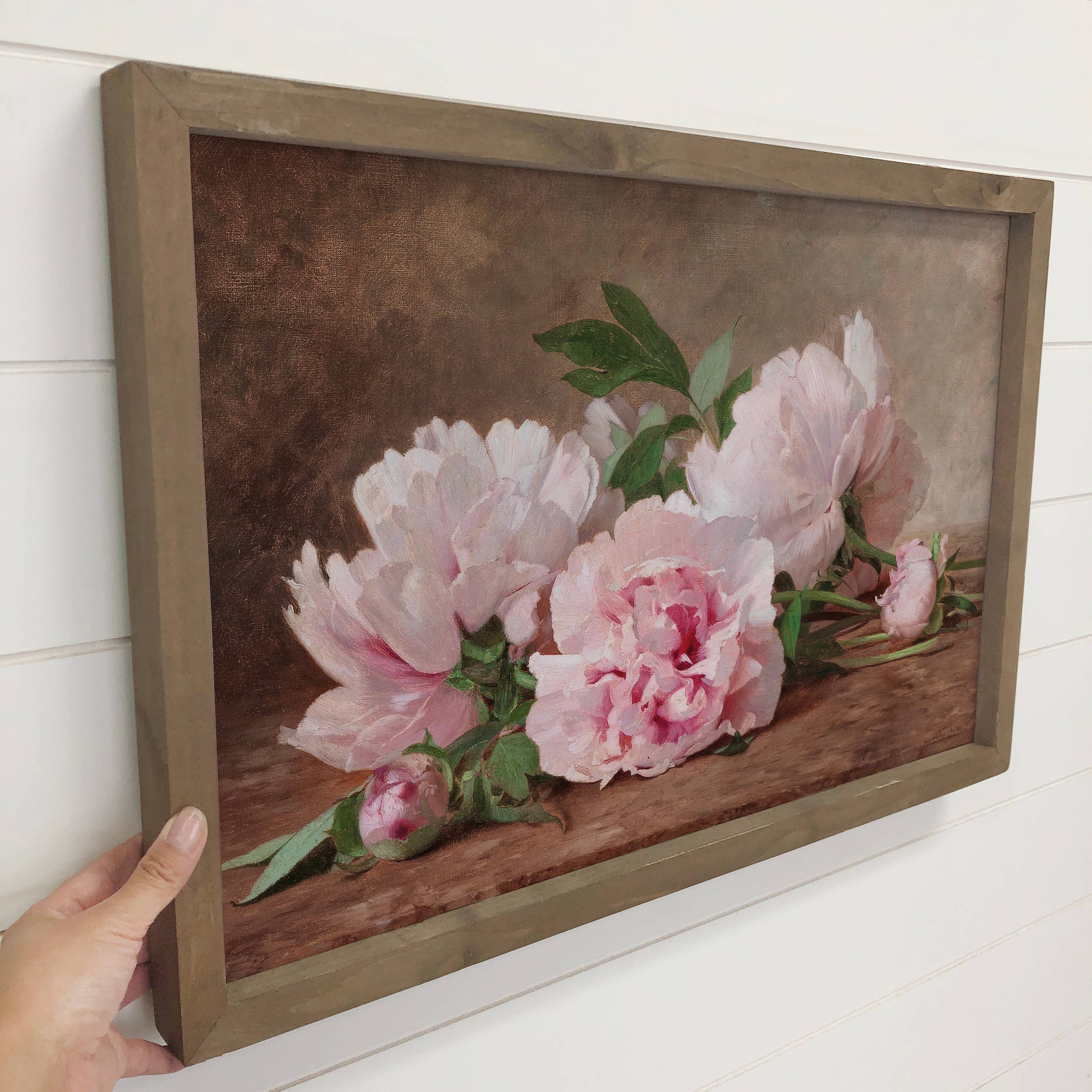 Pink Peonies Vintage Still Life - Flower Canvas Art - Framed