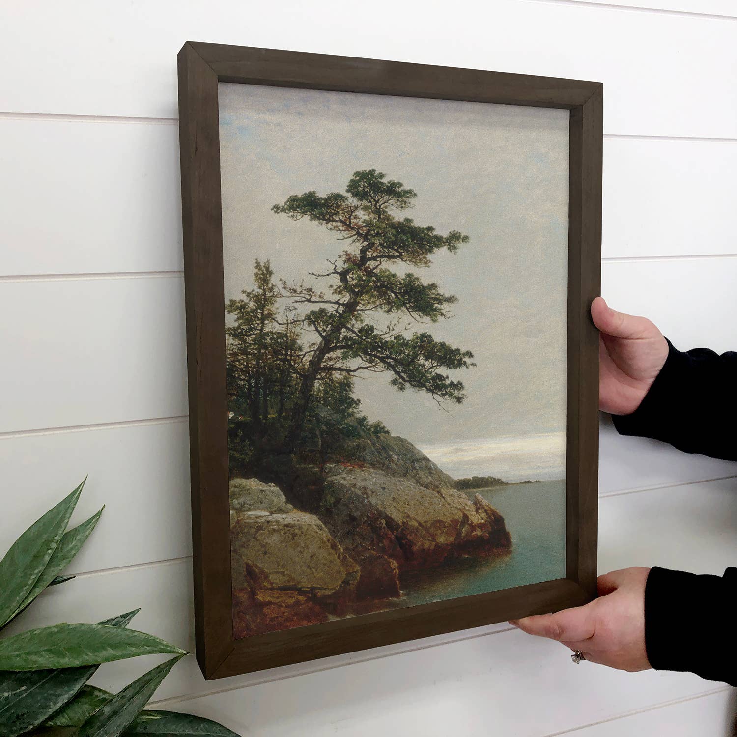 Old Pine Over the Sea - Nature Landscape Canvas Art - Framed