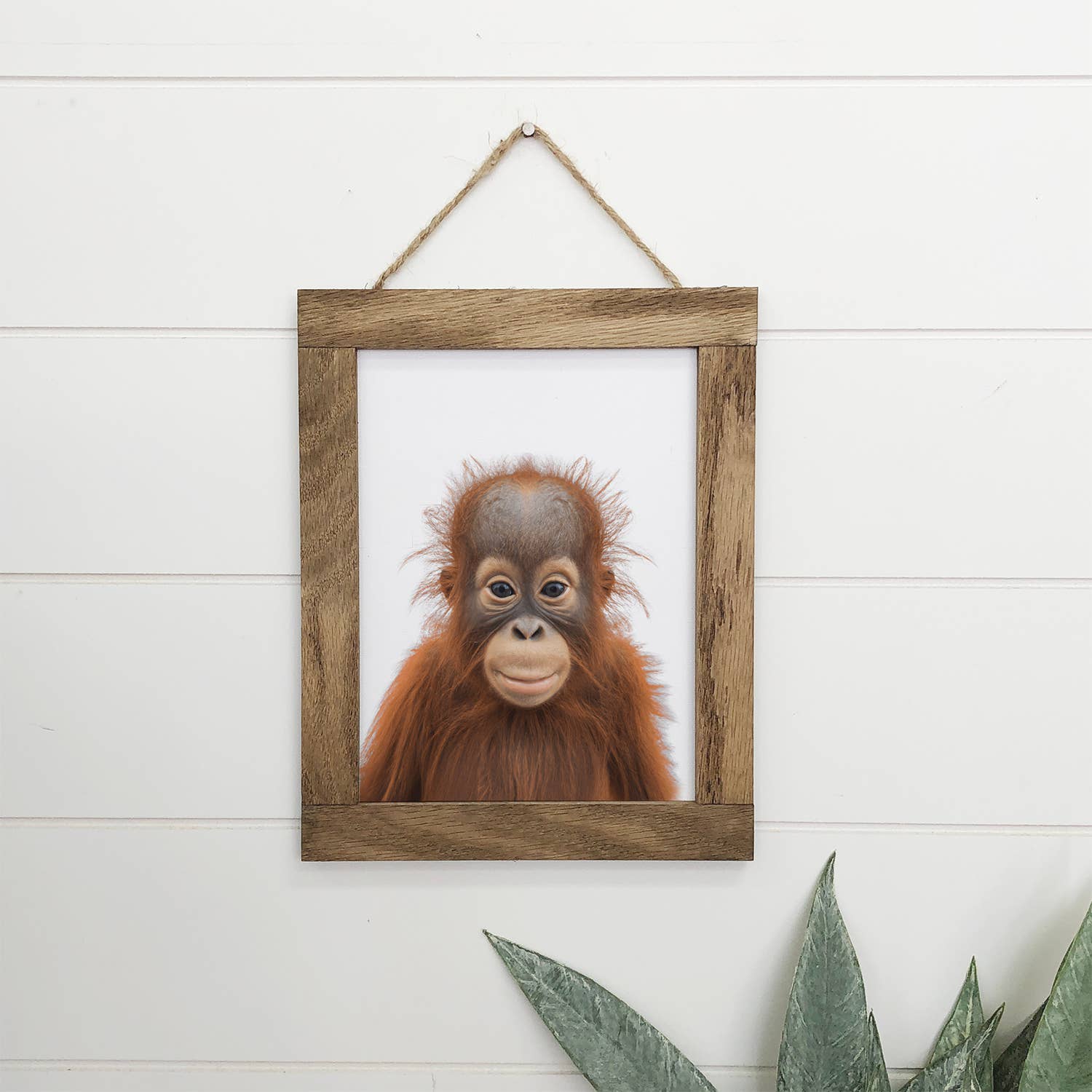 Cute Baby Orangutan Wood Sign Animal Wall Art