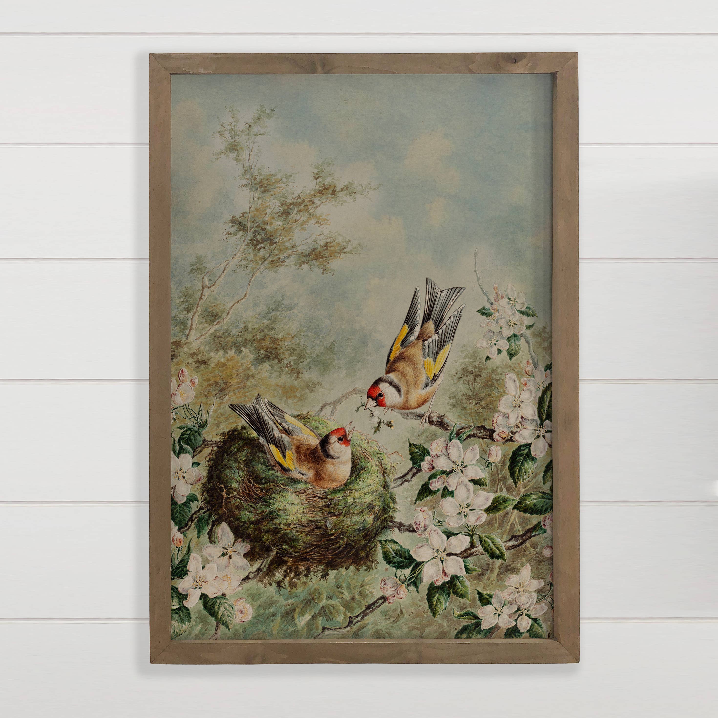 Gold Finches Spring Nest - Bird Canvas Art - Wood Framed Art