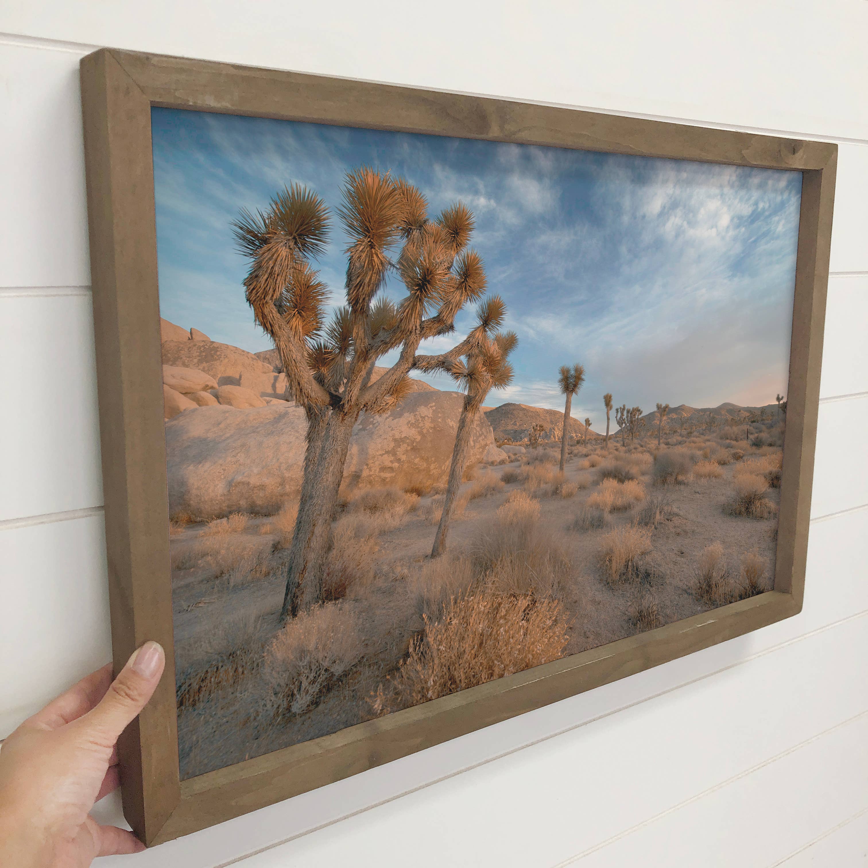 Joshua Tree Tumbleweeds - Desert Landscape Canvas Art