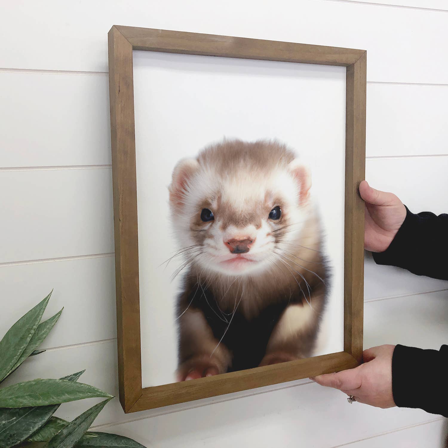 Baby Ferret Wood Sign Cute Animal Wall Art