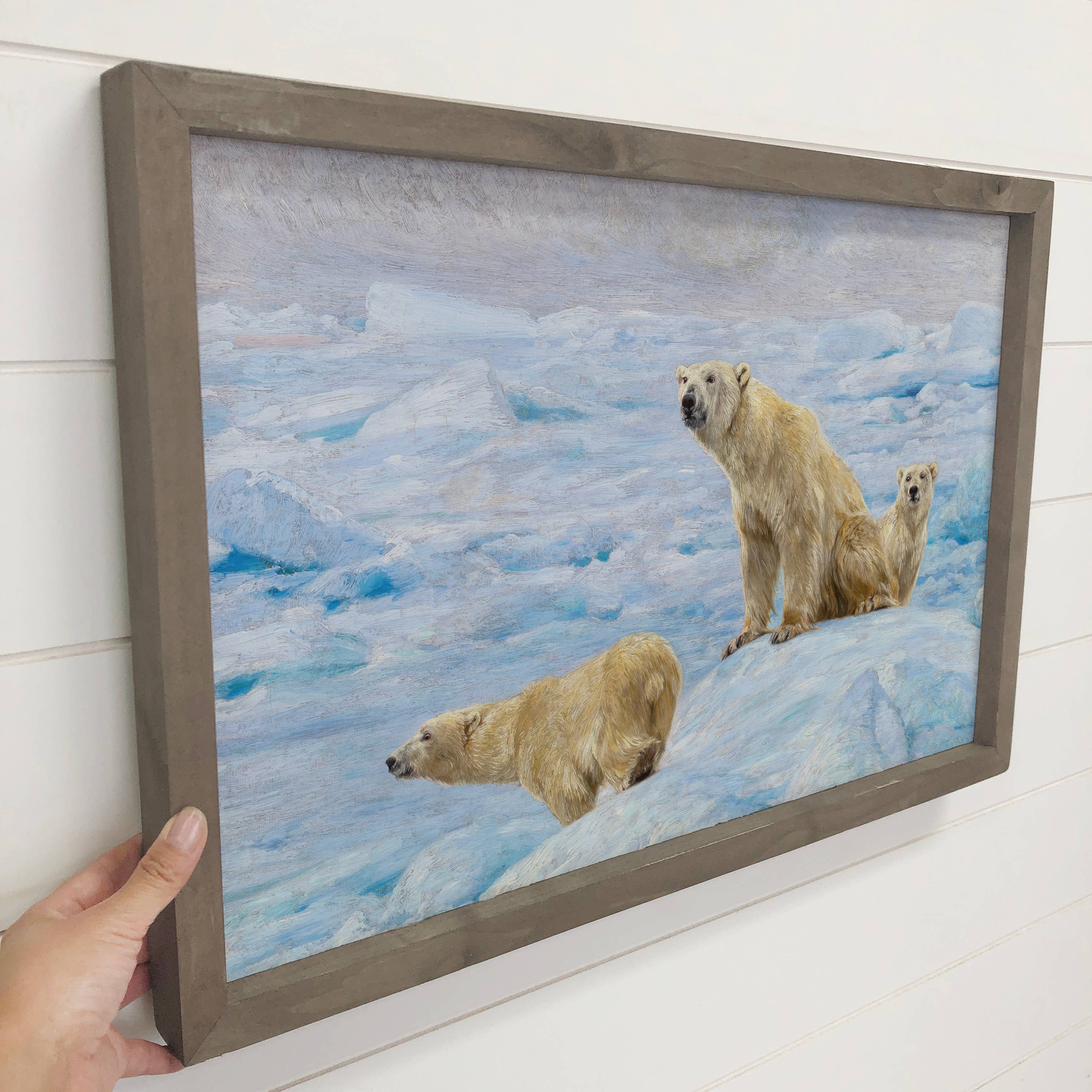 Three Polar Bears - Wildlife Canvas Art - Wood Framed Decor