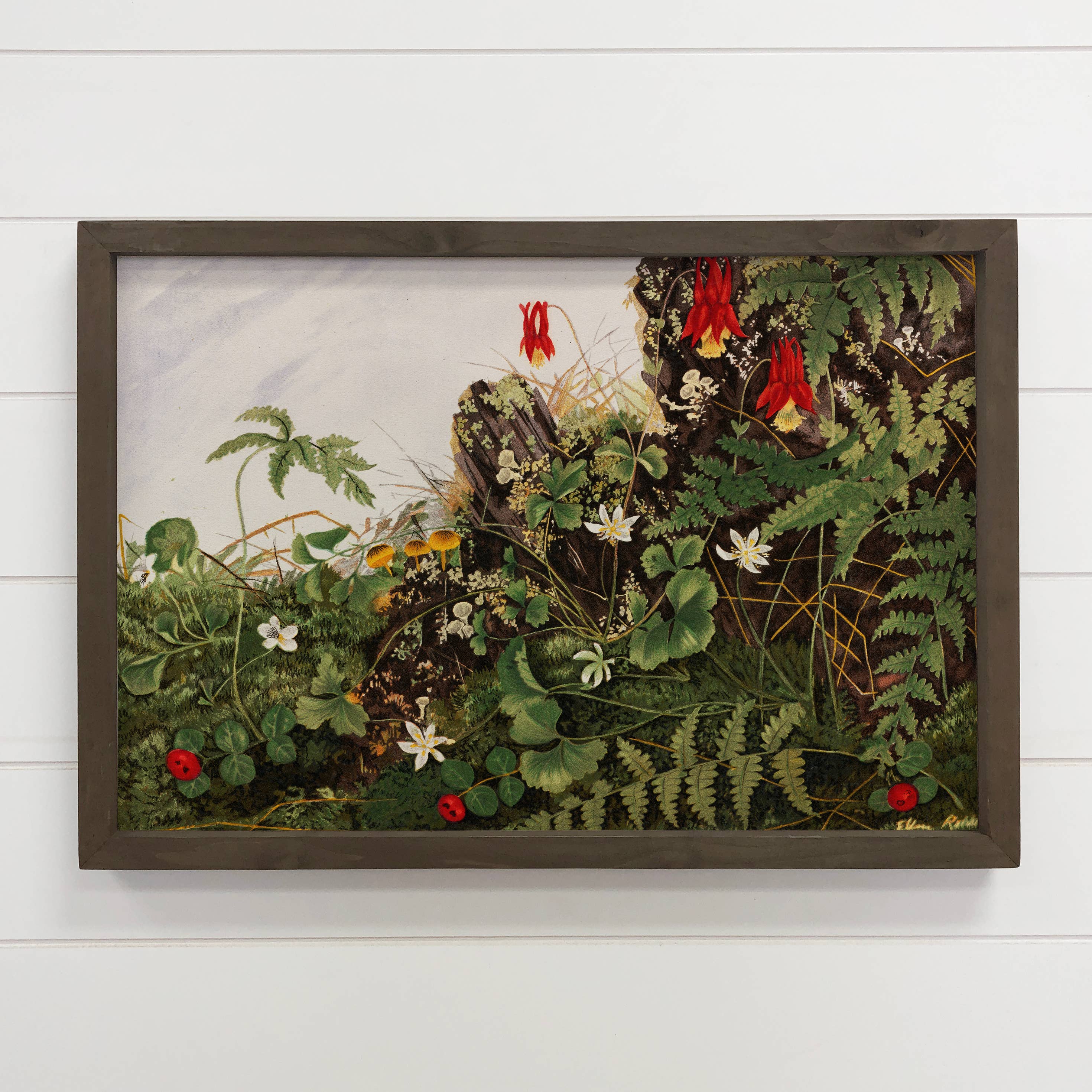 Vintage Wildflowers - Flower Canvas Art - Wood Framed