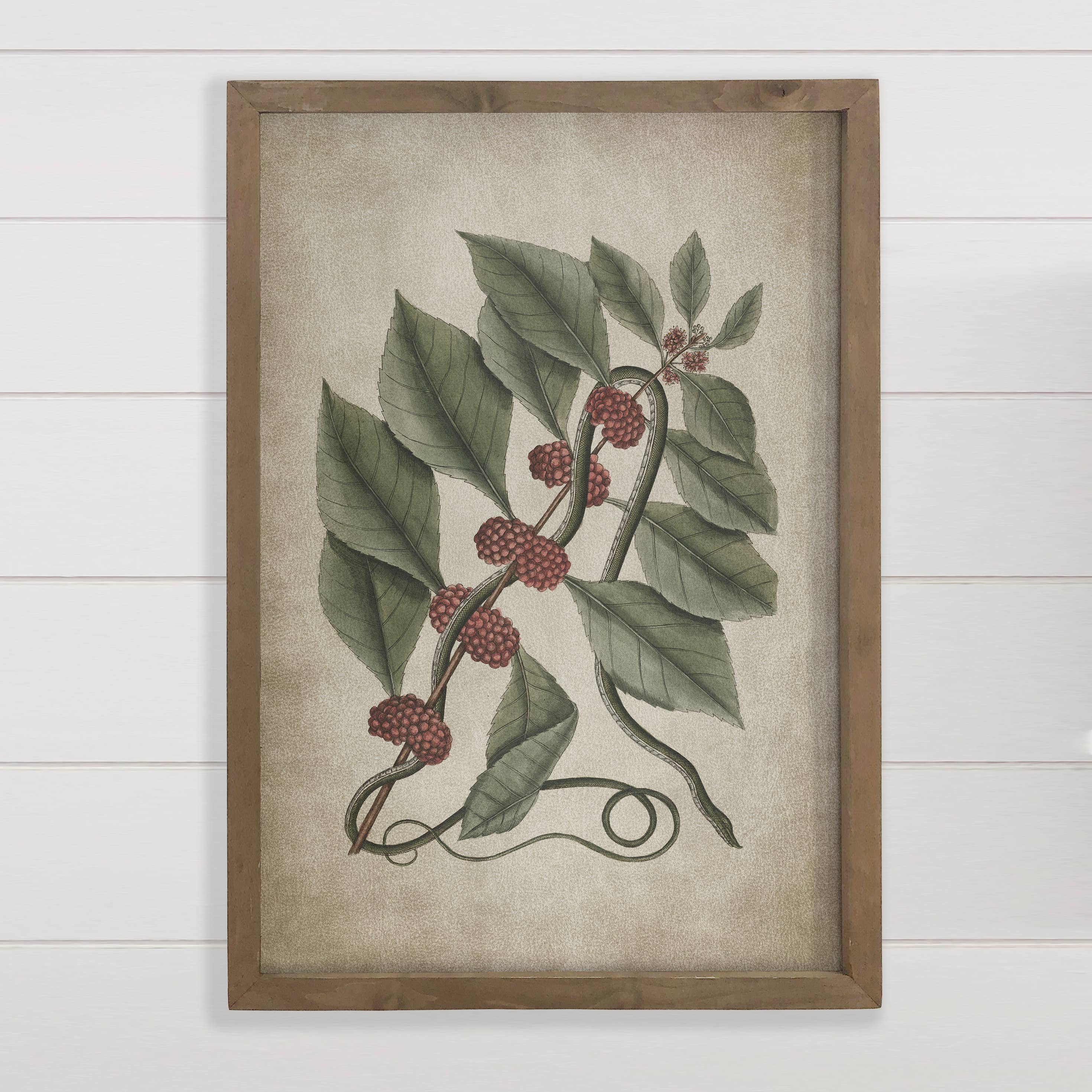 Snake and Raspberries - Snake Canvas Art - Wood Framed Art