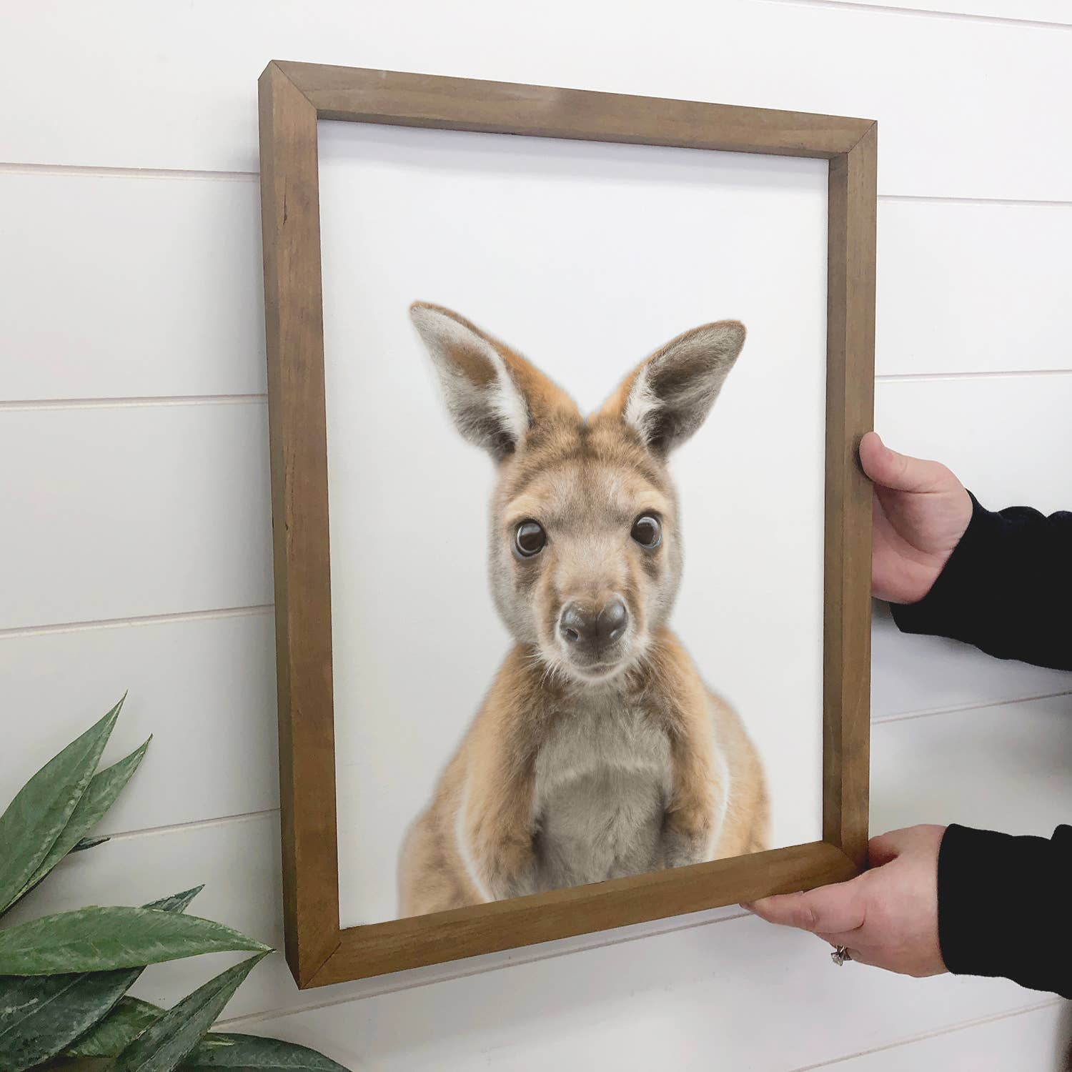 Cute Baby Kangaroo Joey Wood Sign Animal Wall Art