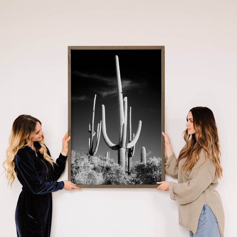 Saguaro Black and White - Framed Nature Photography