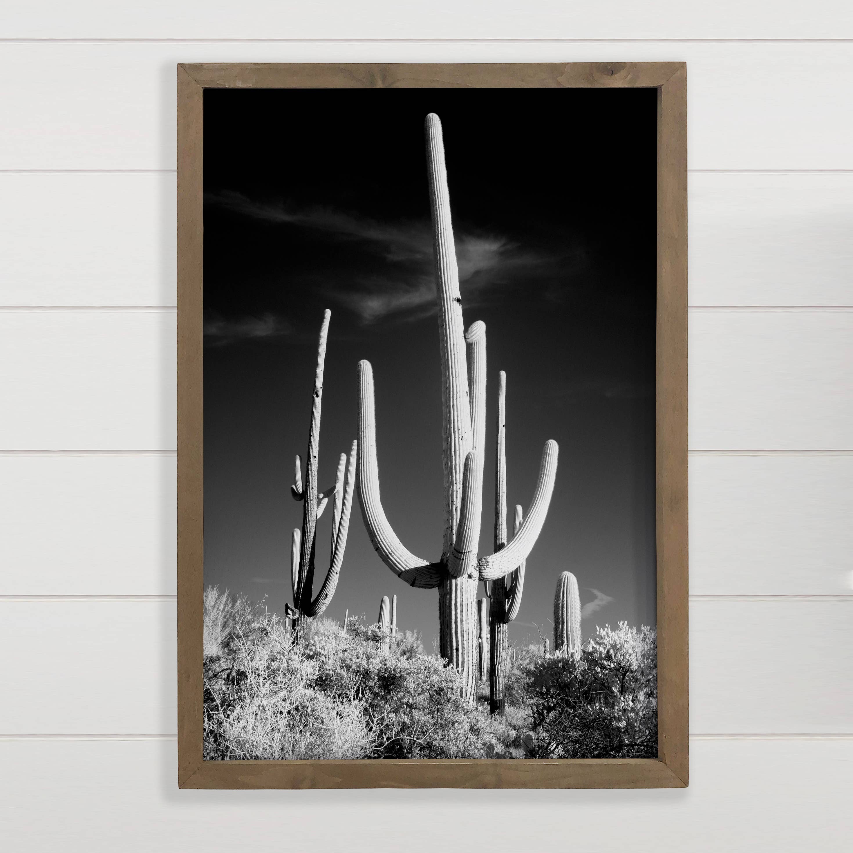 Saguaro Black and White - Framed Nature Photography
