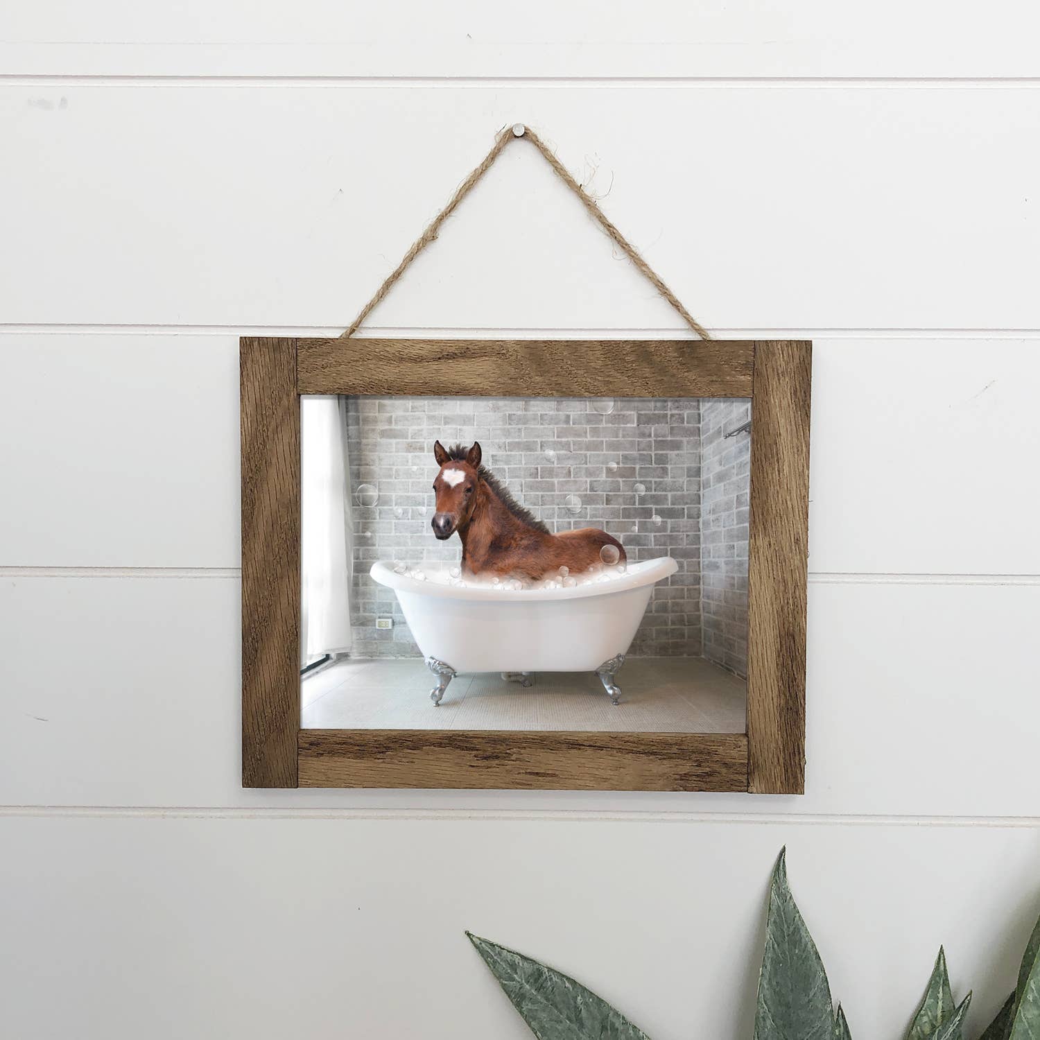 Horse in Bathtub Funny Bathroom Wood Sign Framed